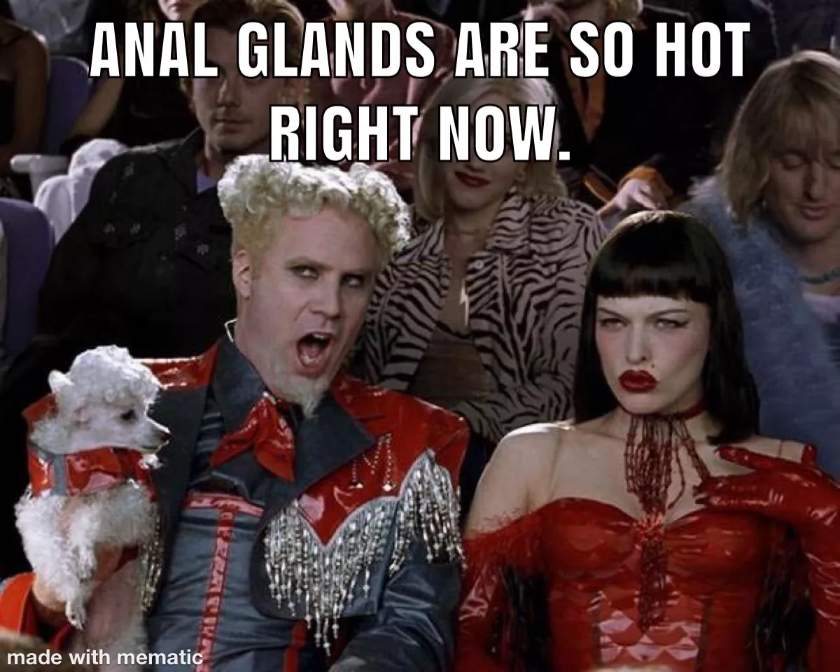 Anal Glands Are So Hot Right Now