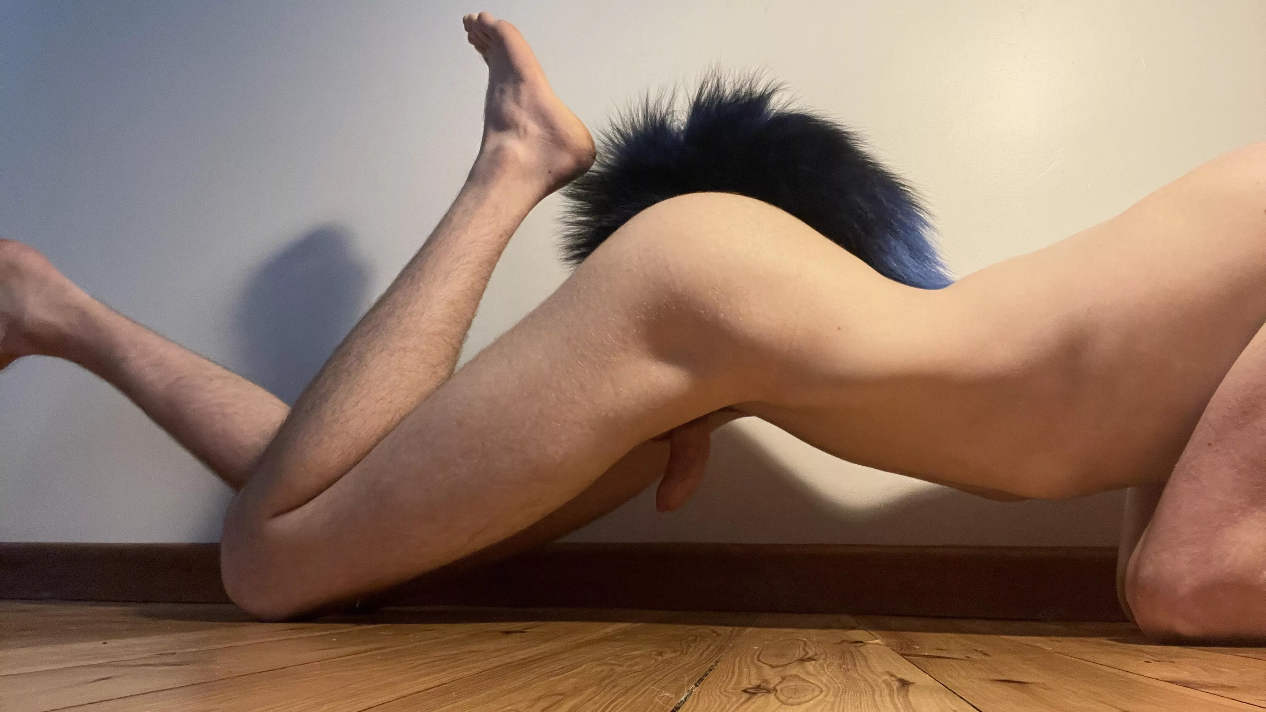 Tails are so underrated