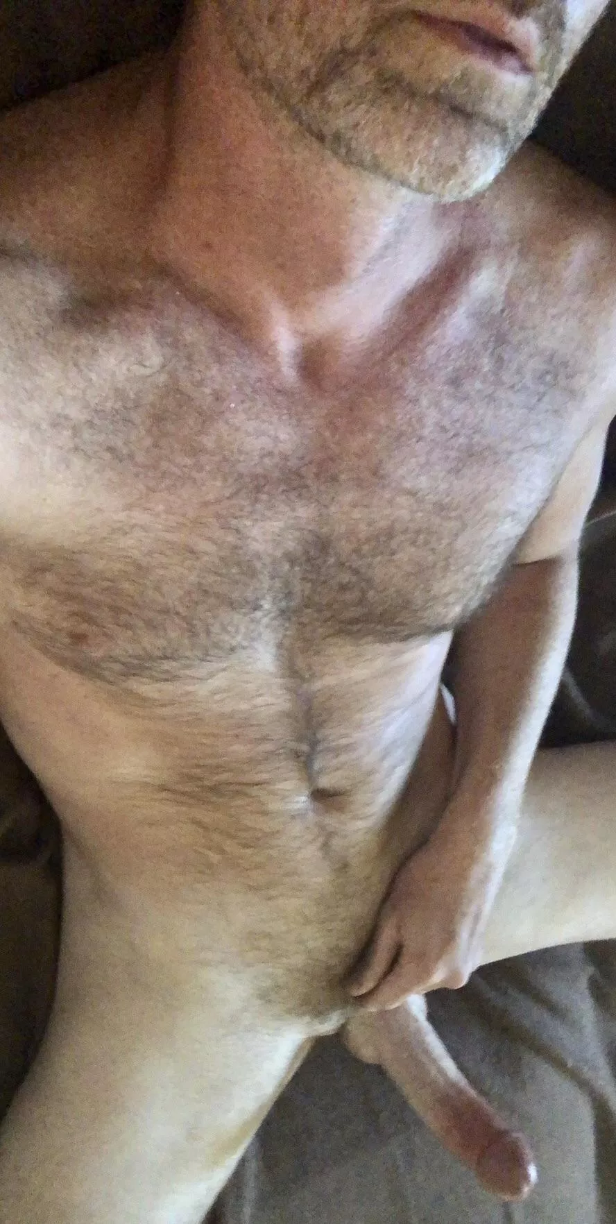 Horny and hairy for you