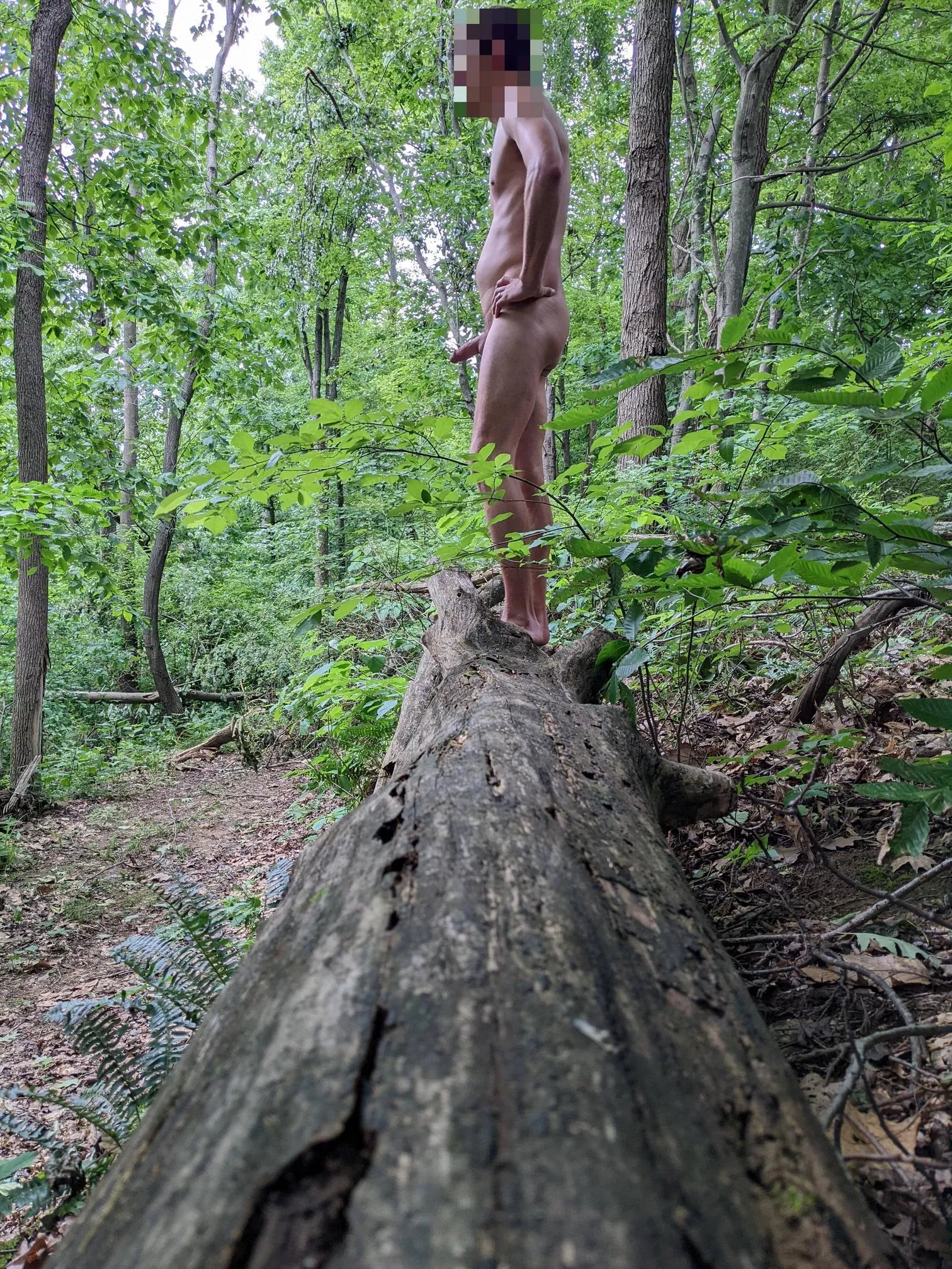 Surveying the damage to the woods from the recent storms