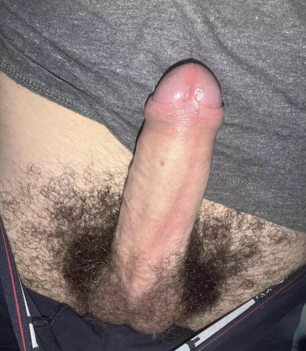 Quite bushy! M20