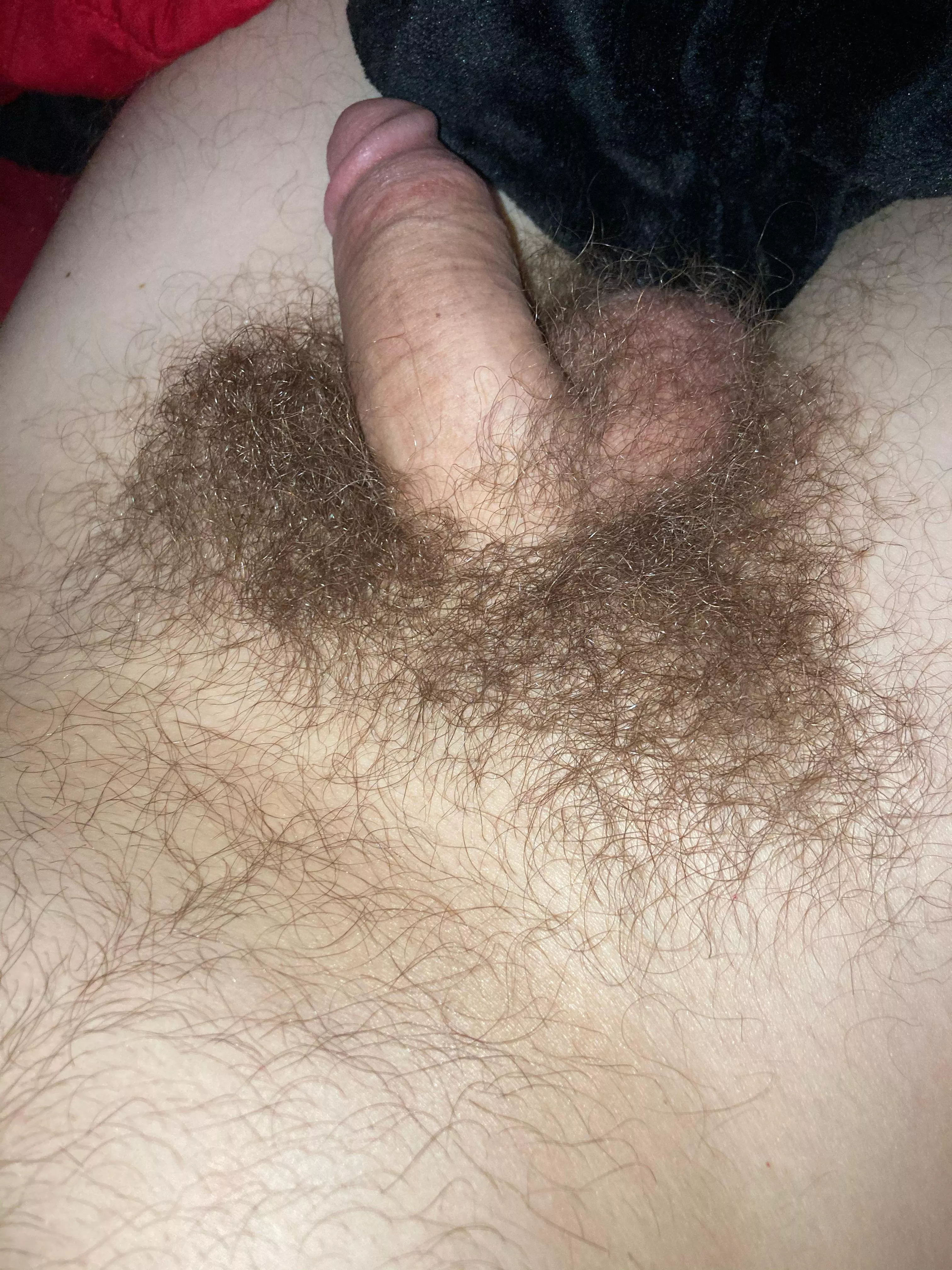 Soft dick. Havenâ€™t shaved in about a year