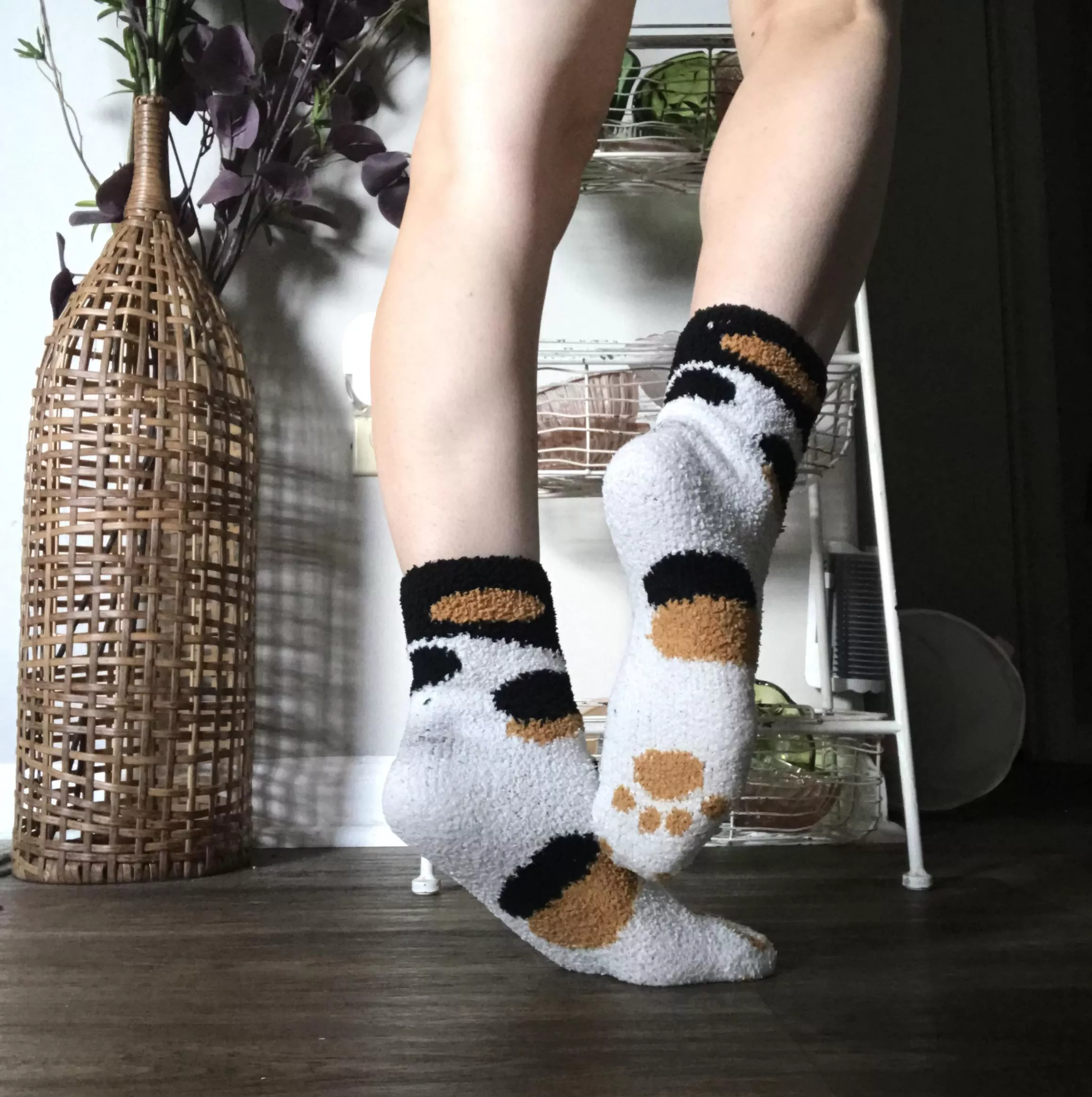 {F} showing off my sock collection love these cute fluffy cat socks-more on my of