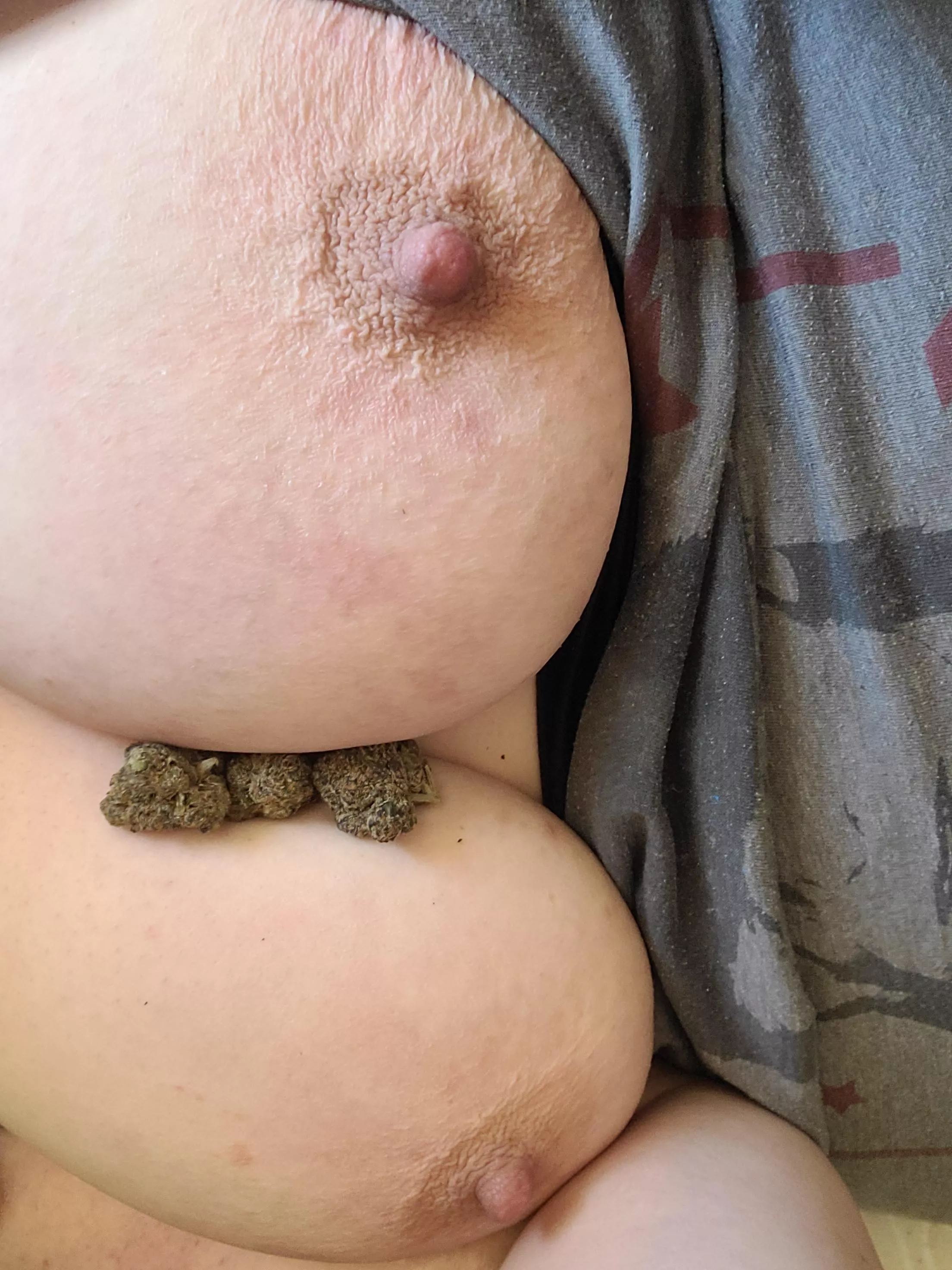 Which [f]irst, nugs or nips?