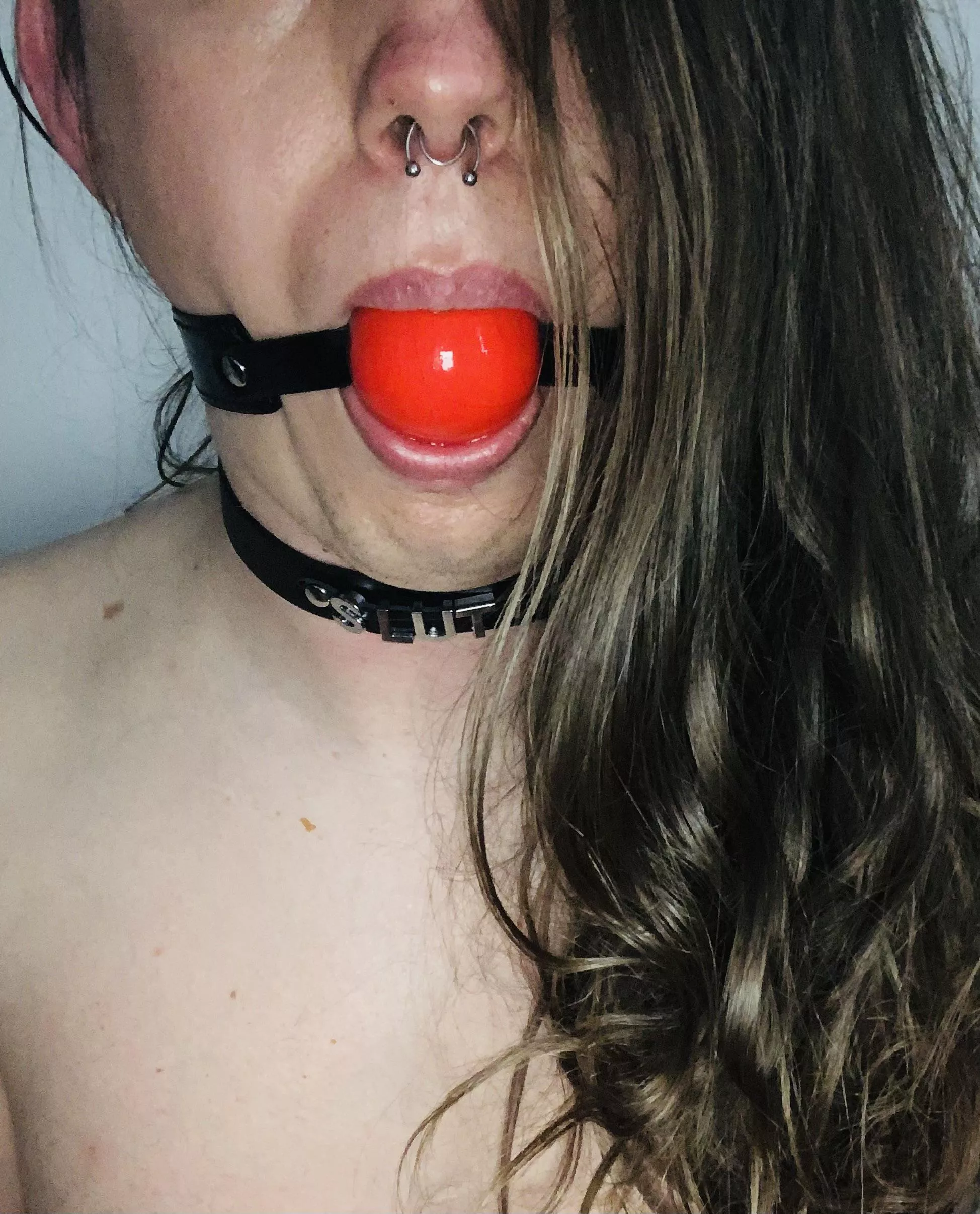 Do you like my new gag and collar?