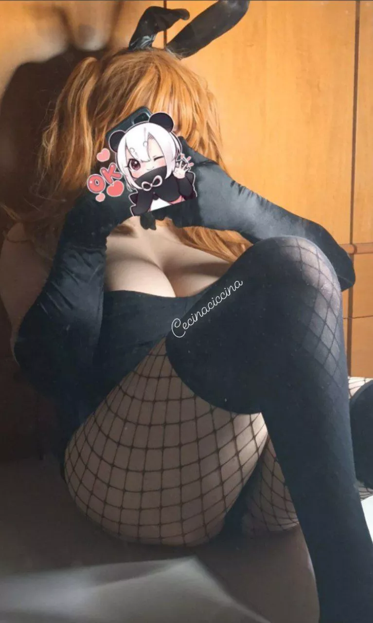 took some shitty bunny pics owo