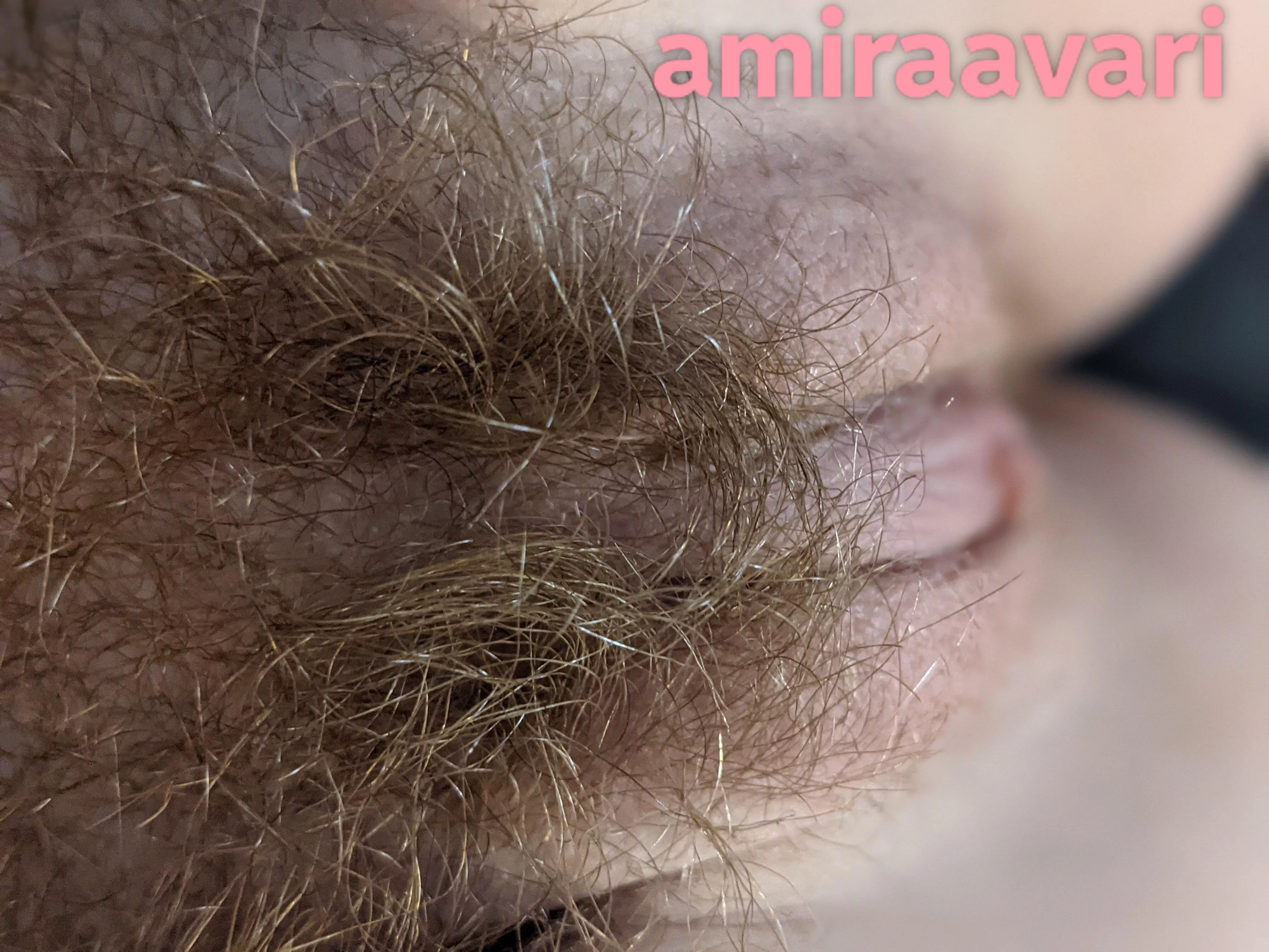 like â€˜em hairy? Only real men subscribe to hairy redheadsðŸ”¥ðŸ¥µðŸ˜˜