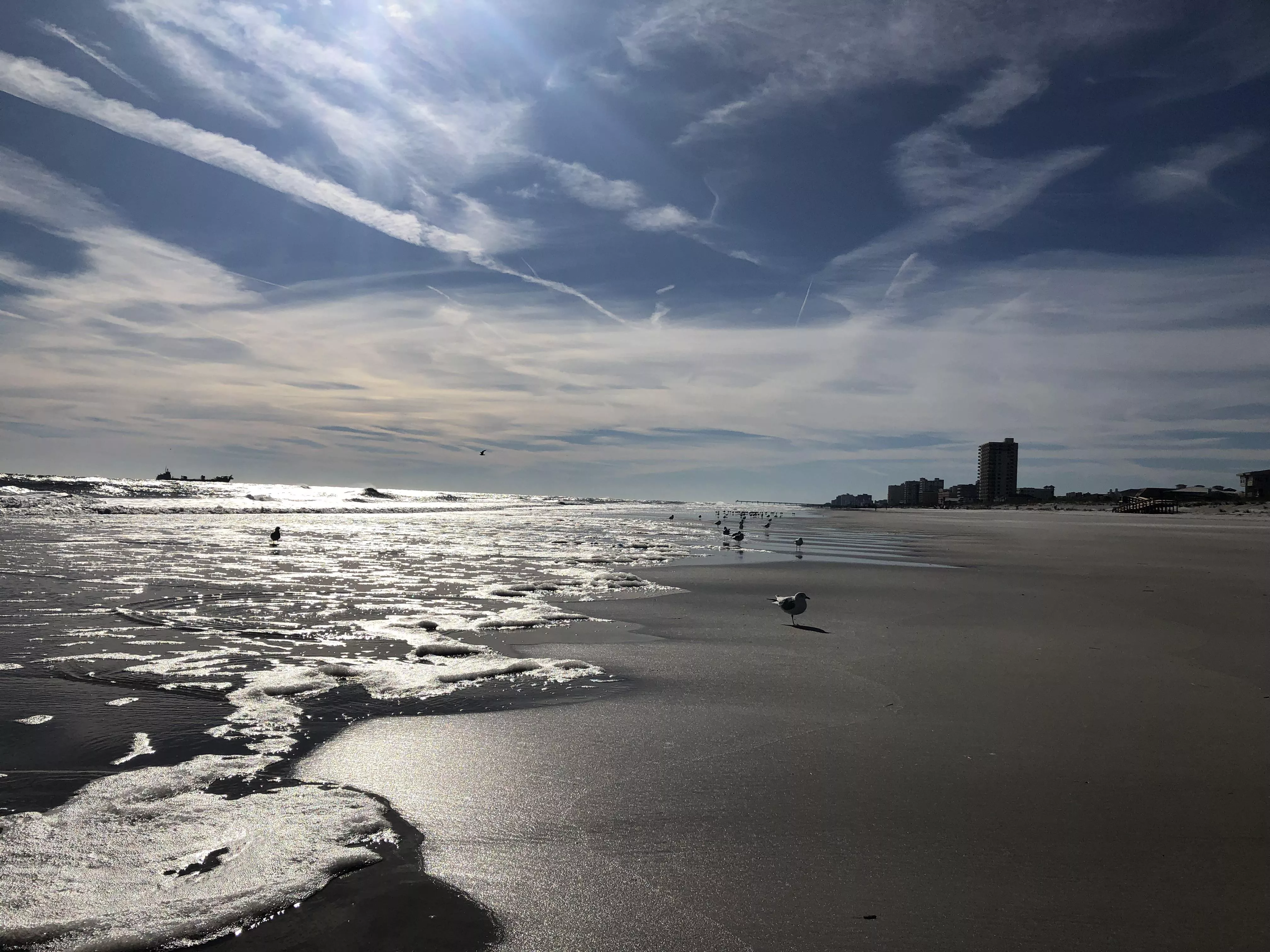 Morning walk. Jacksonville Beach, Florida