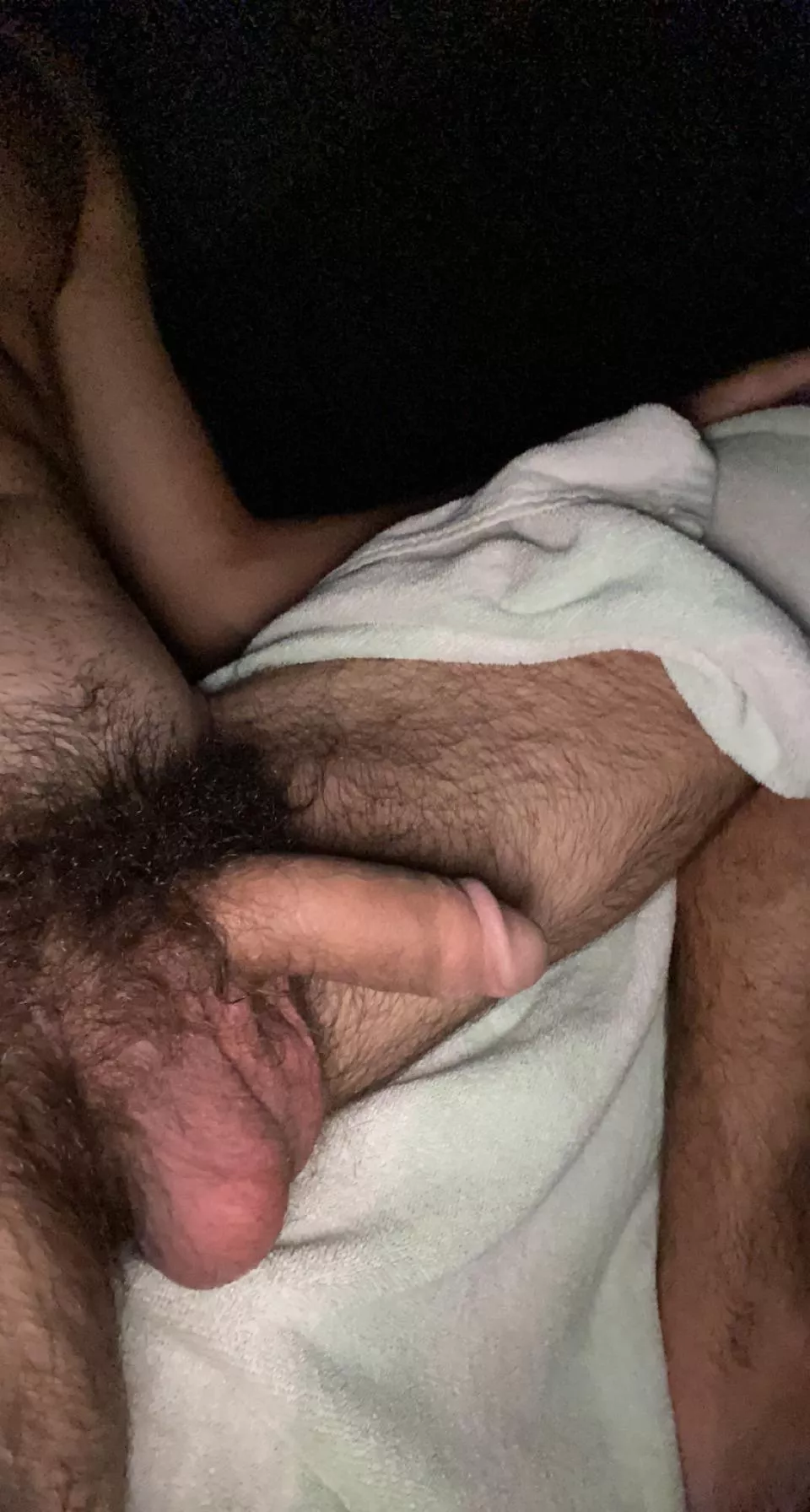 Someone come make love to these hairy ass balls.