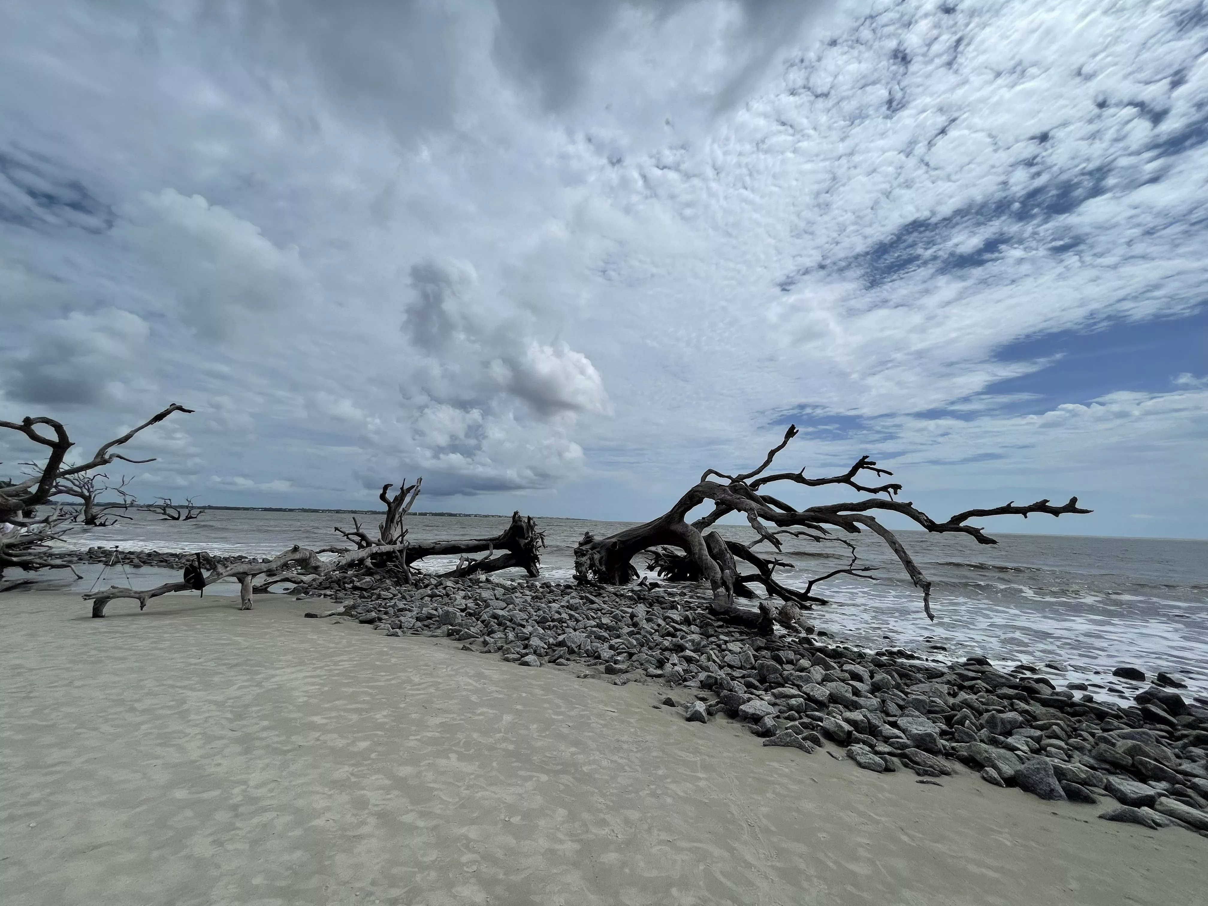 Driftwood Beach Jekyll Island, GA