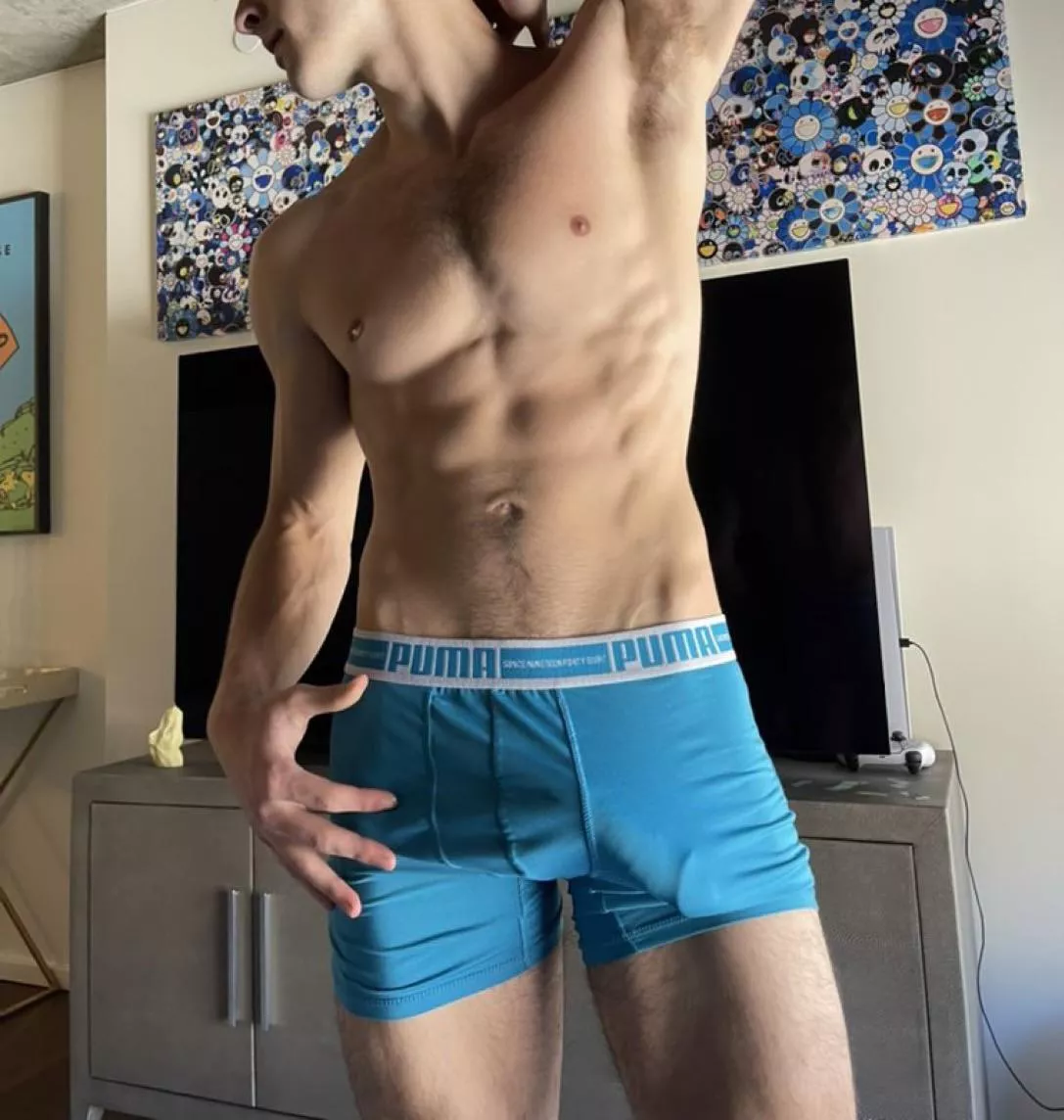 New boxers, how do they look?