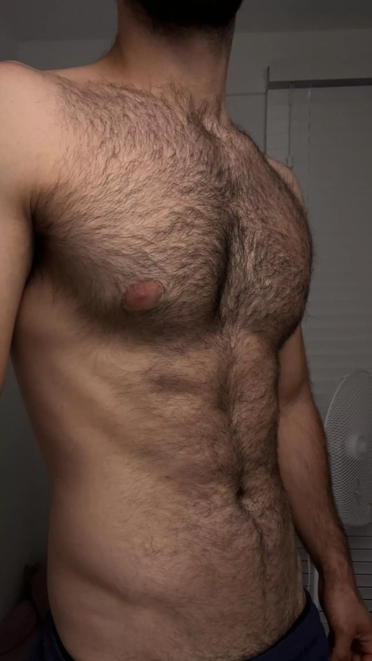 Your daily dose of Sicilian chest hairs