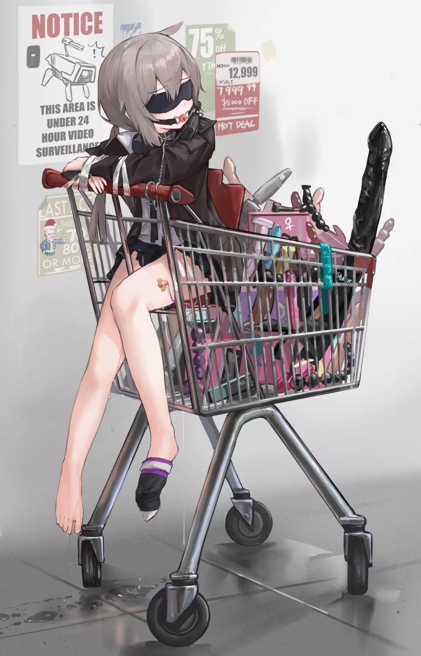 Going shopping with the pet for supplies