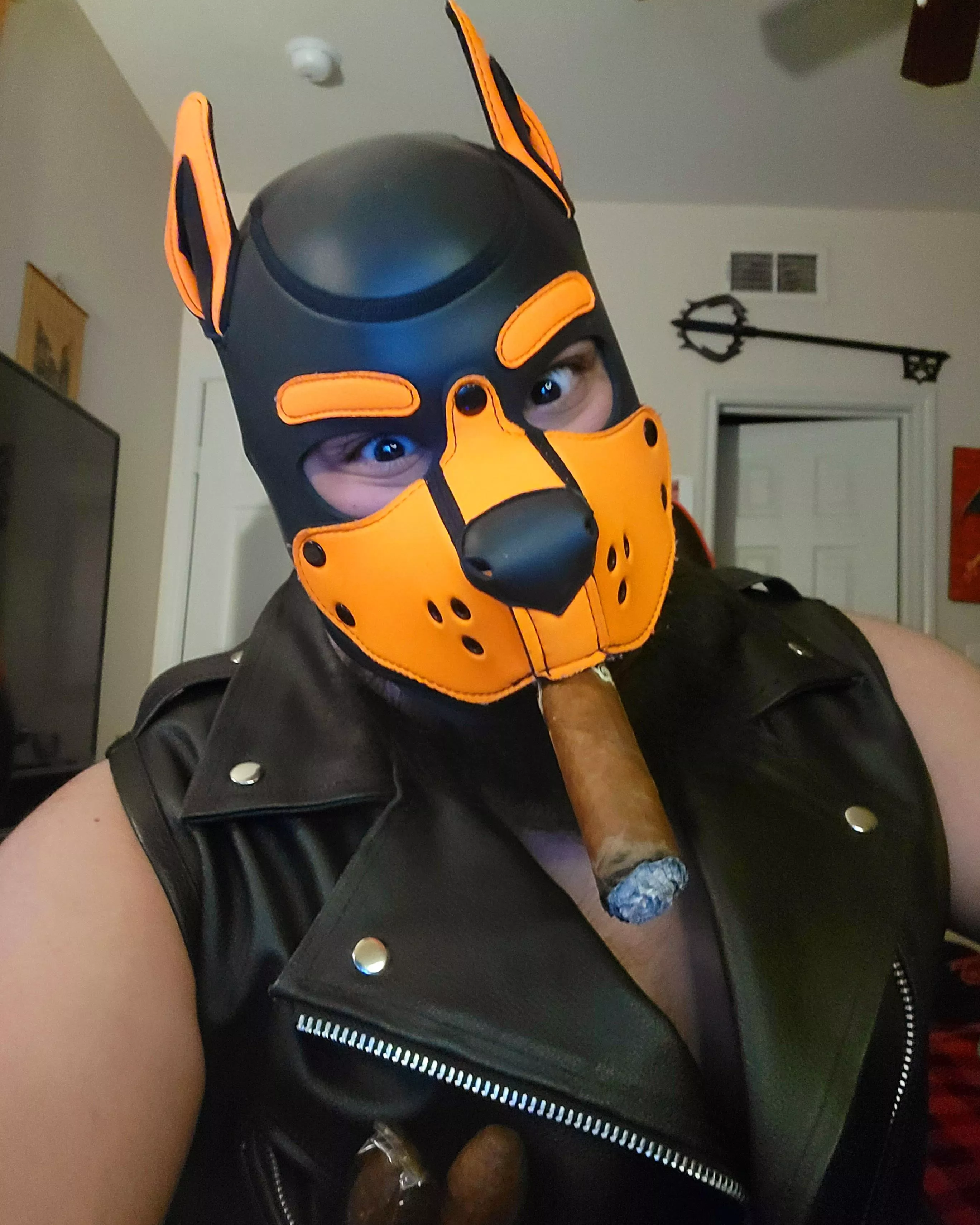 Dumb leather dog thoughts ðŸ˜ˆ