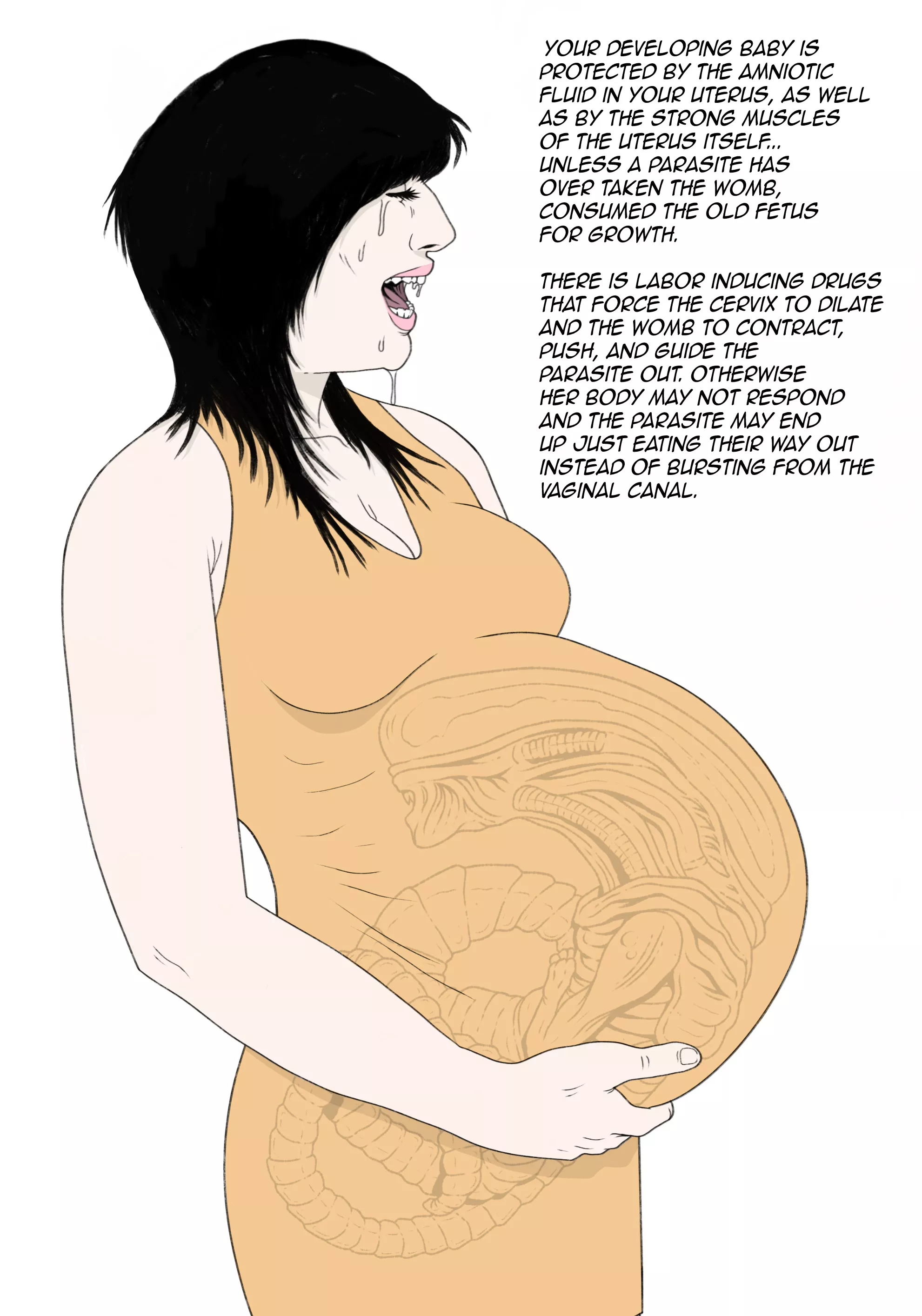 pregnancy facts, art by me (_arcanemortem_)