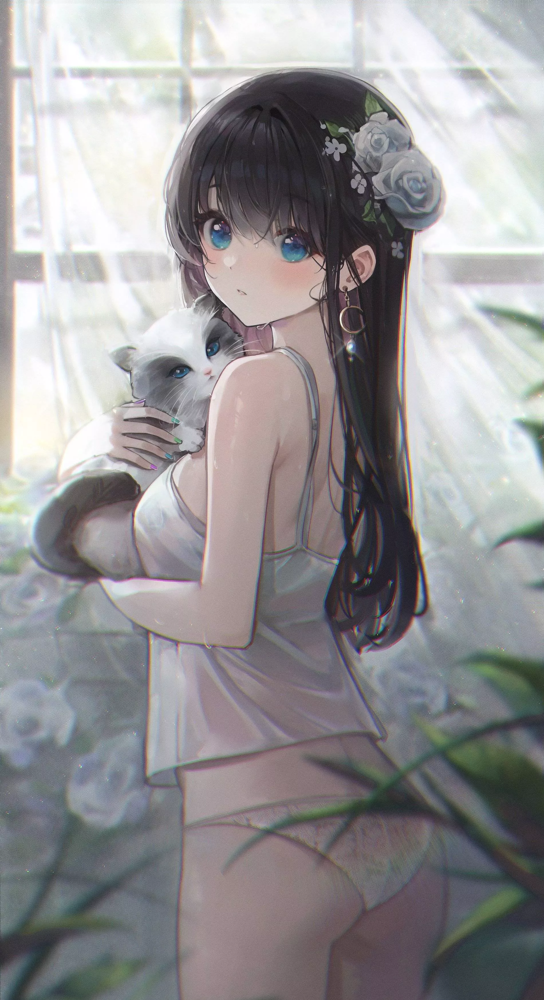 Cute Cat [Original]