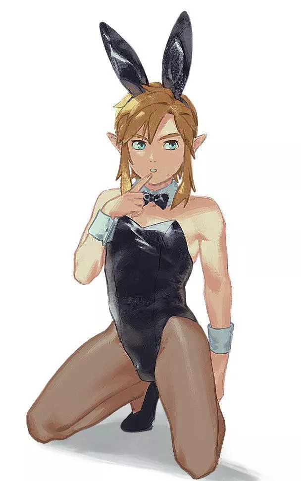 Links new outfit.