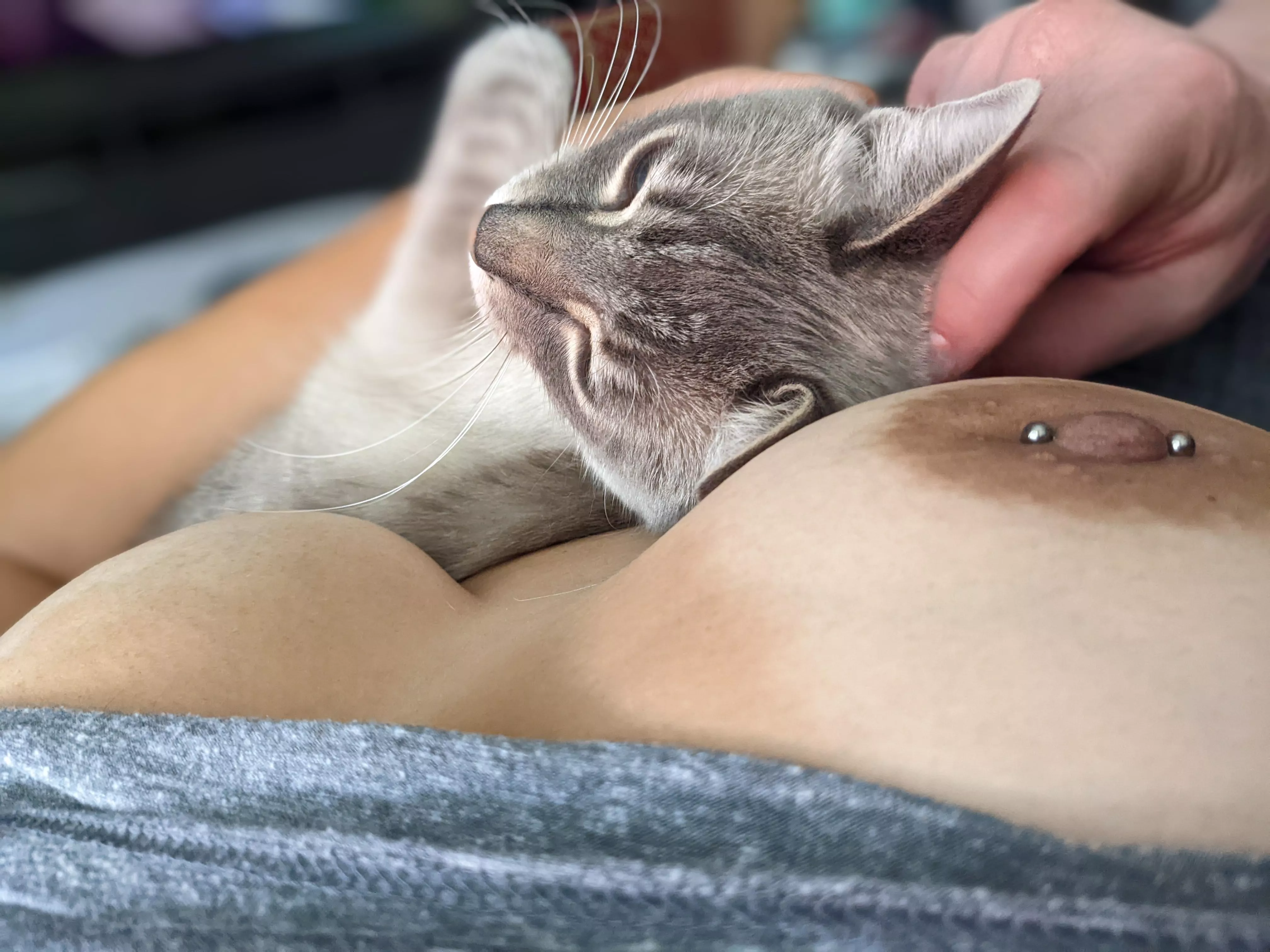 Using my boob as a pillow 😹