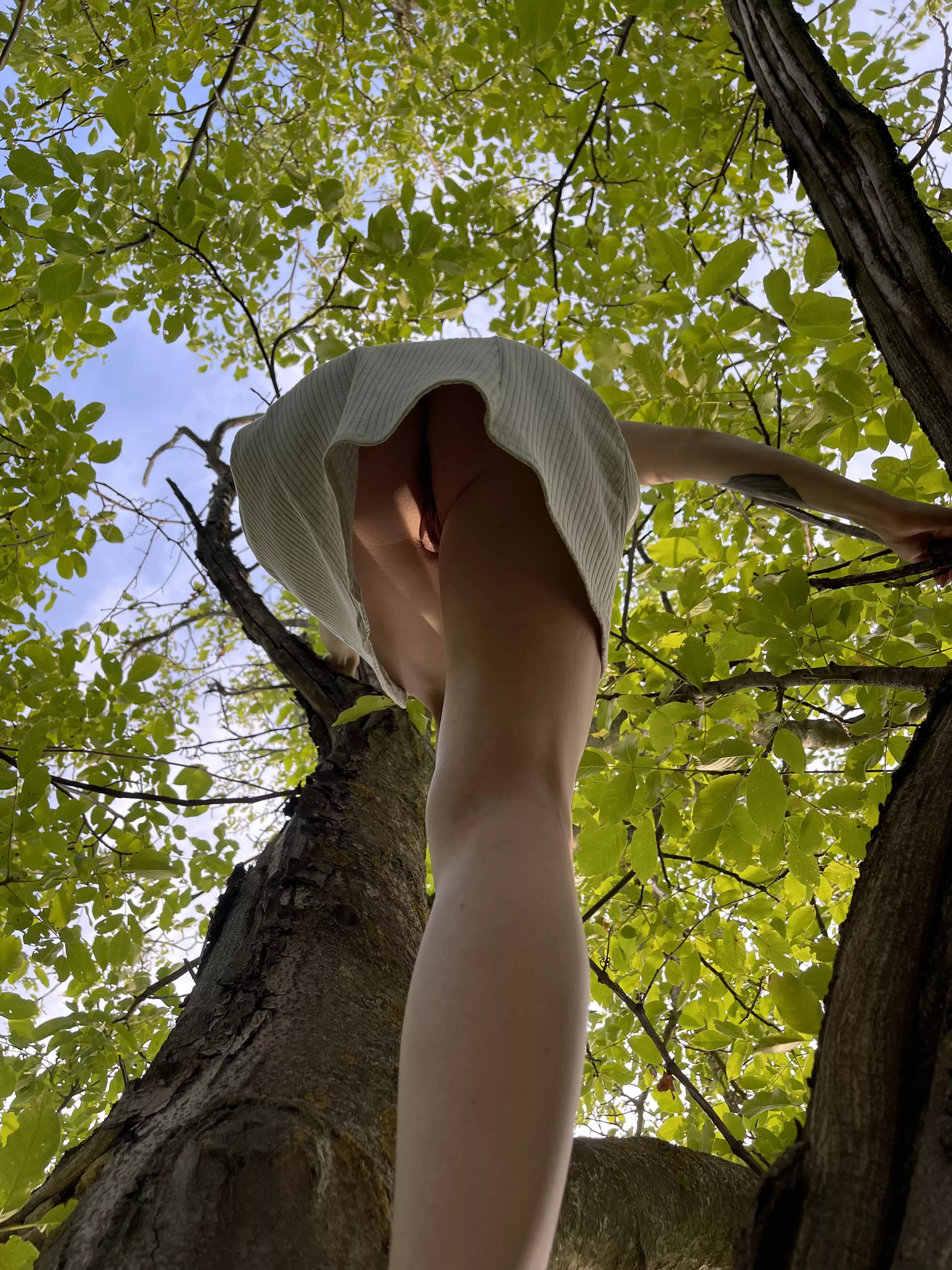 Do you see me in a tree without panties wyd?