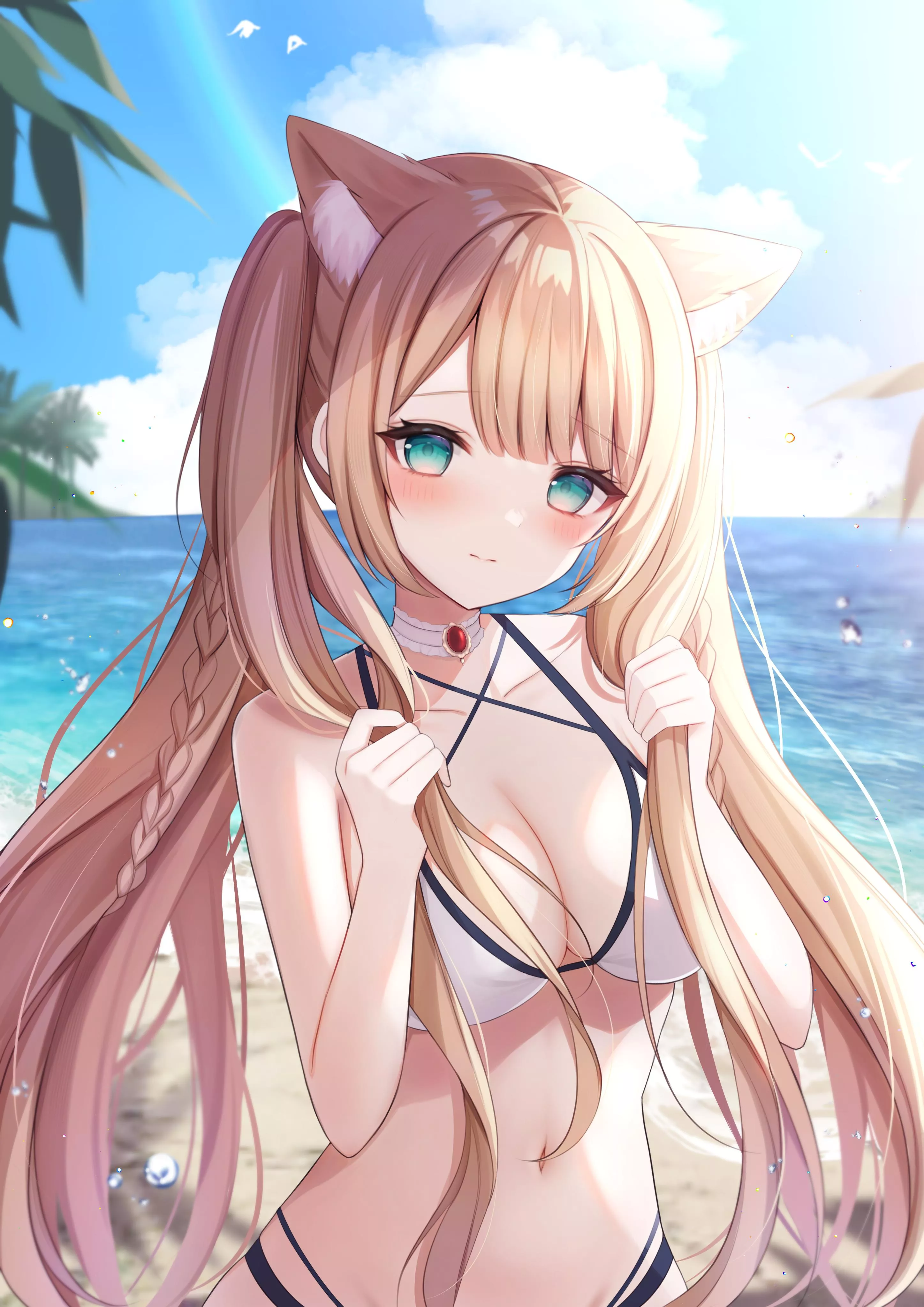 Kitty at the beach