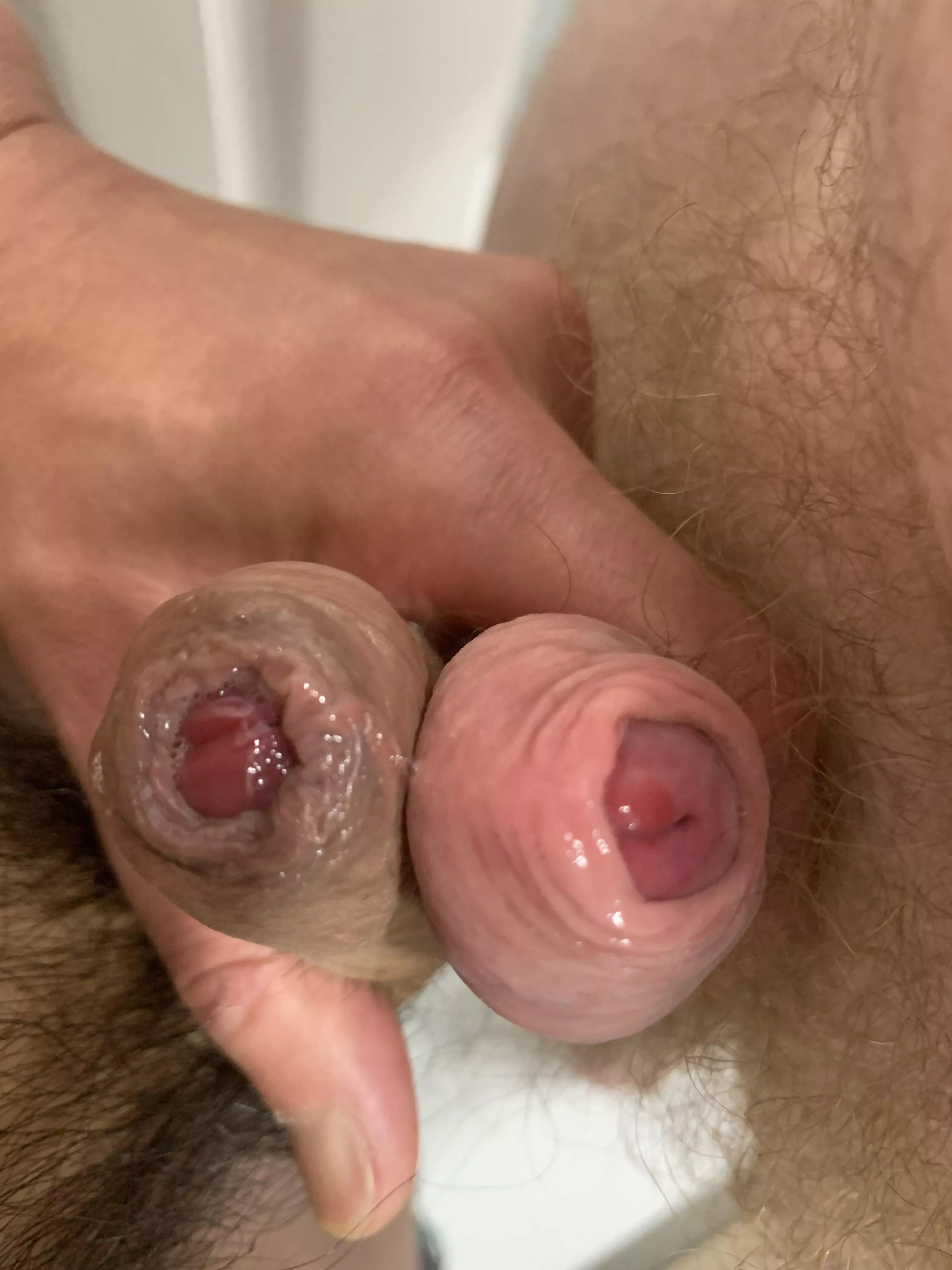 Foreskin Frot Fun