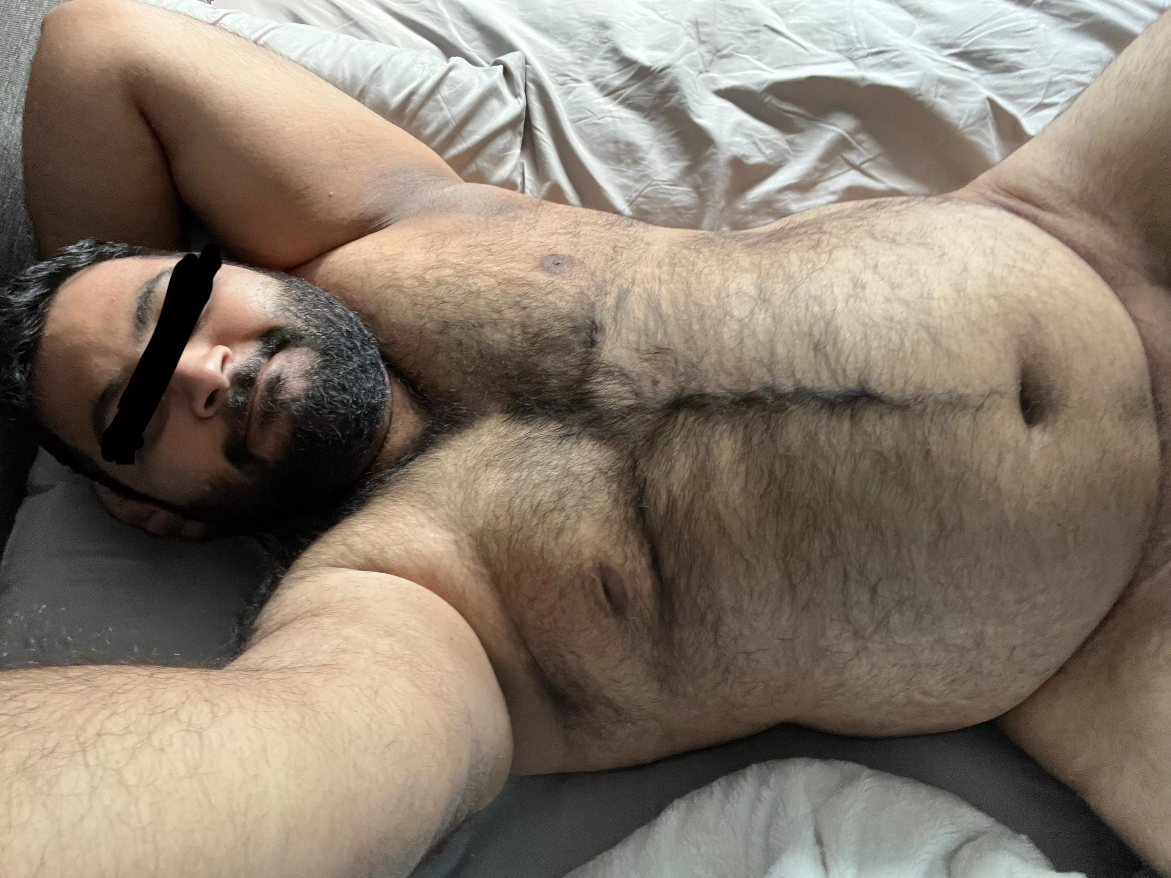 Anyone need a hairy boy on their lap?