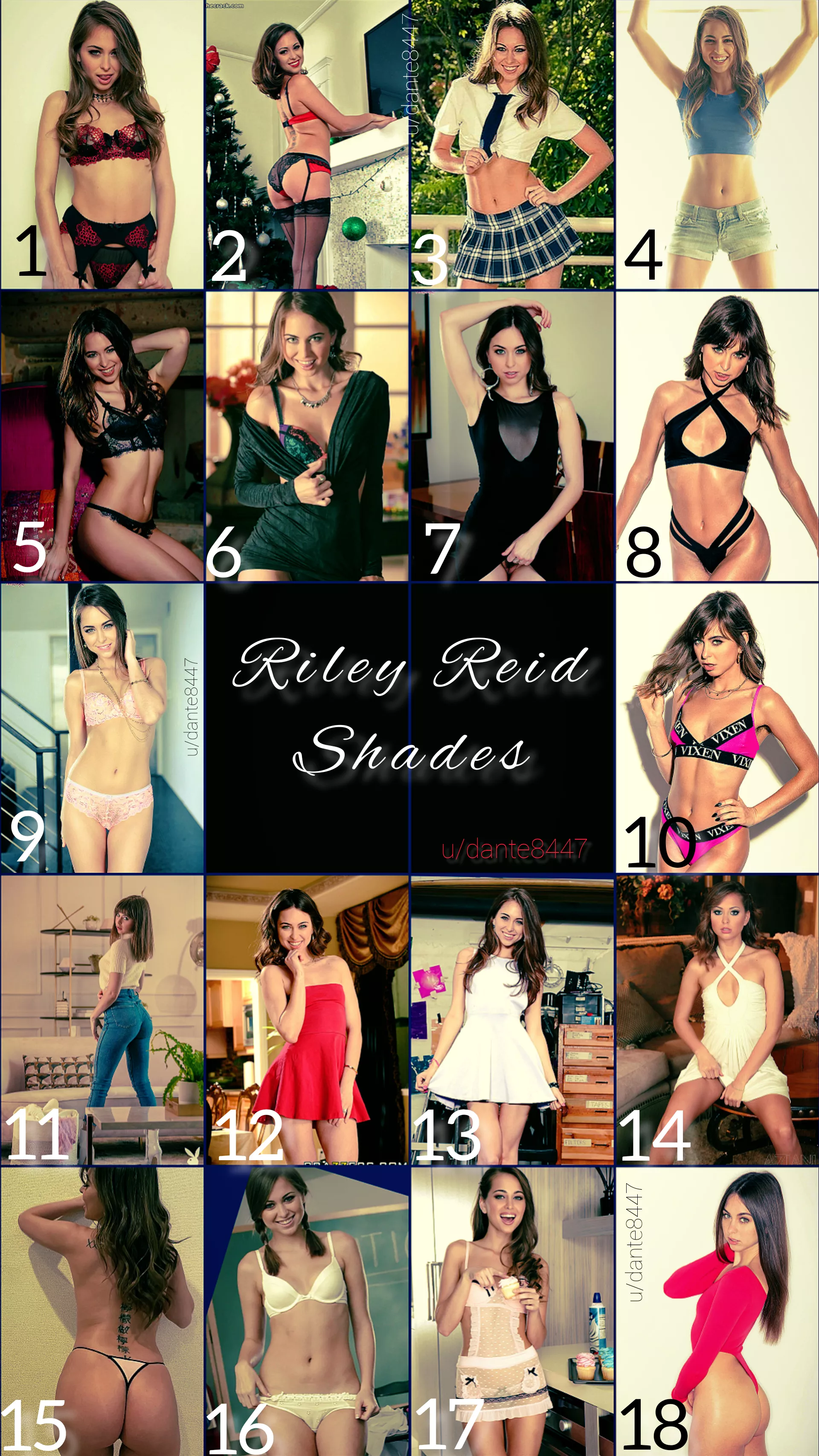 Riley reid shades