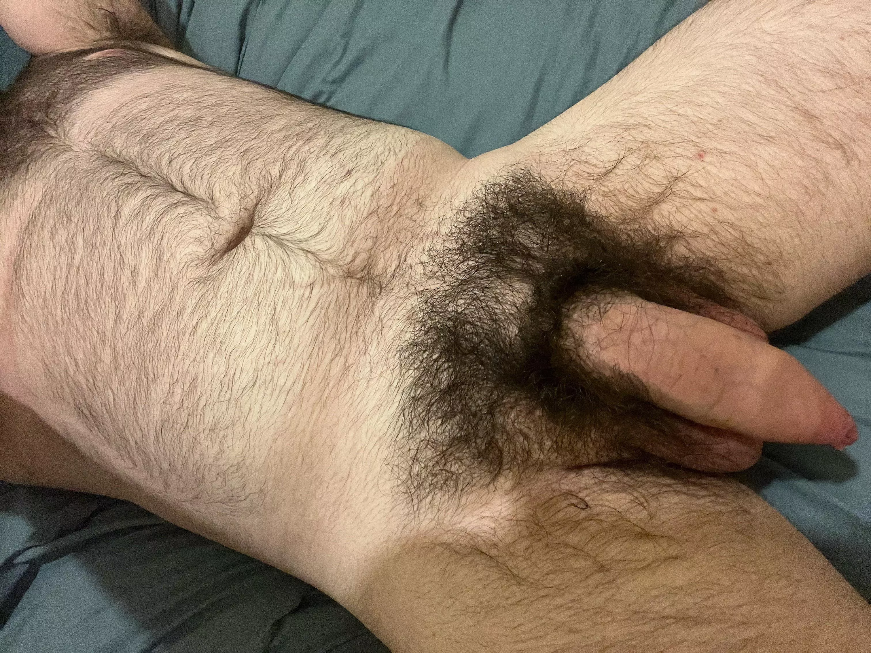 Just my bush and hairy body. You guys like?