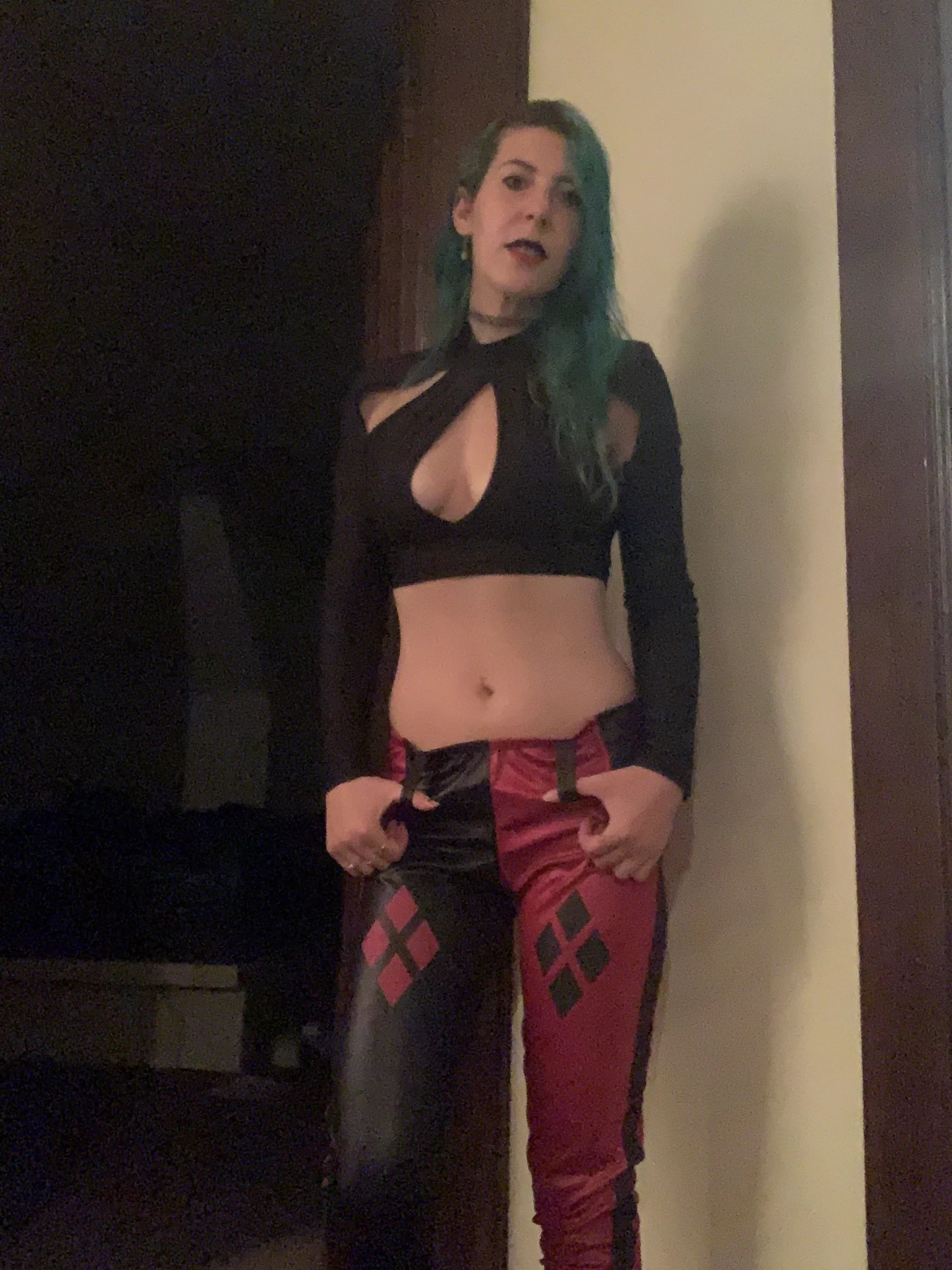 Harley Quinn leather