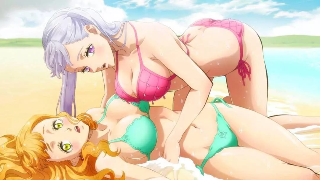 Noelle And Mimosa [Black Clover]