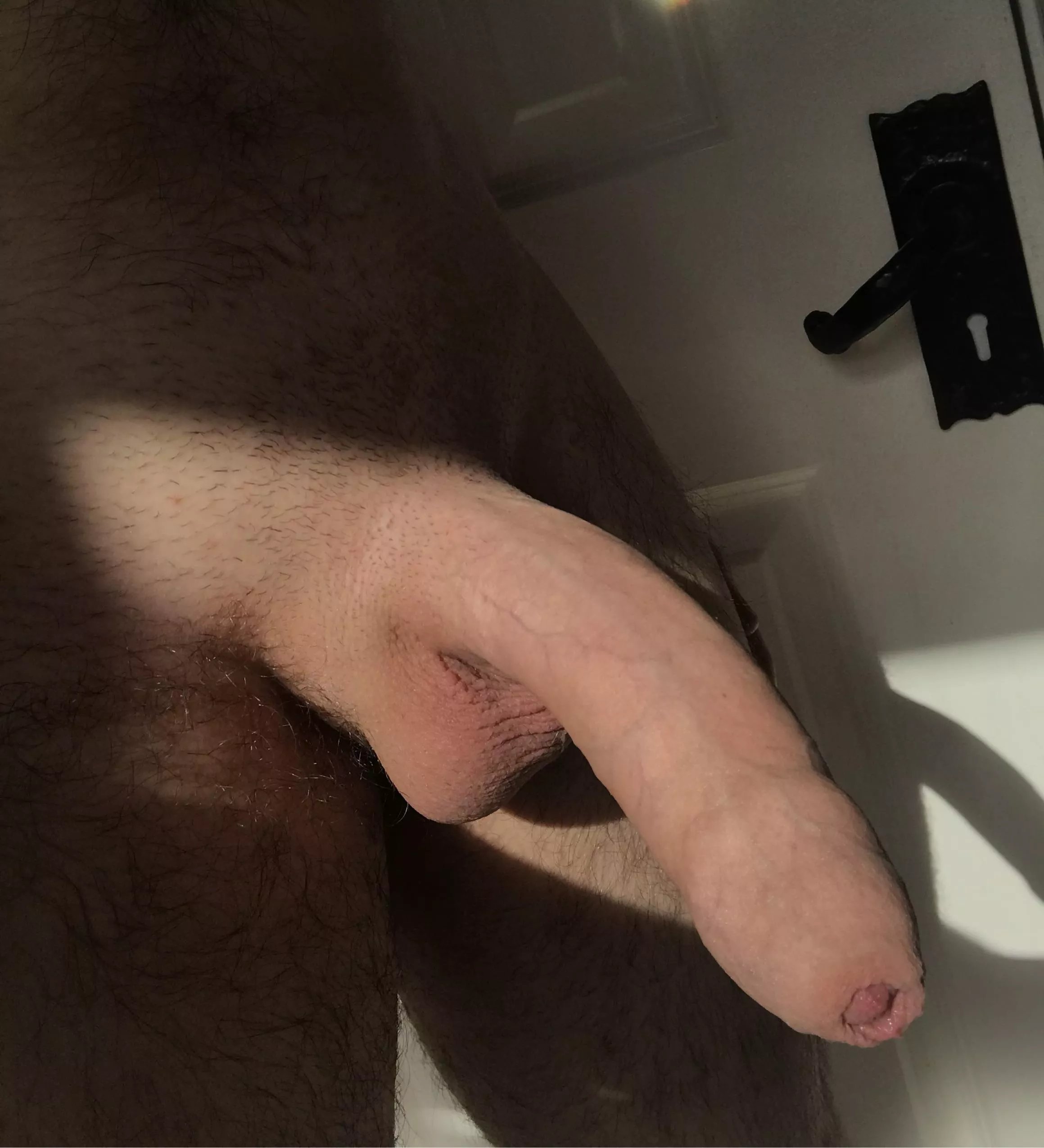 The morning sun on my cock