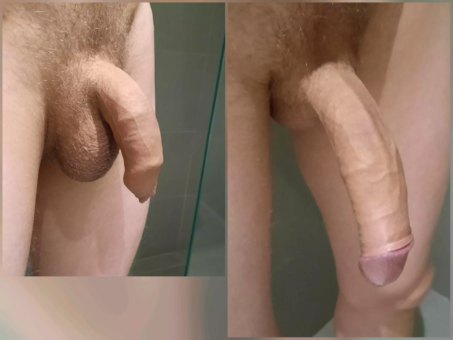 Soft and pretty hard version of my cock