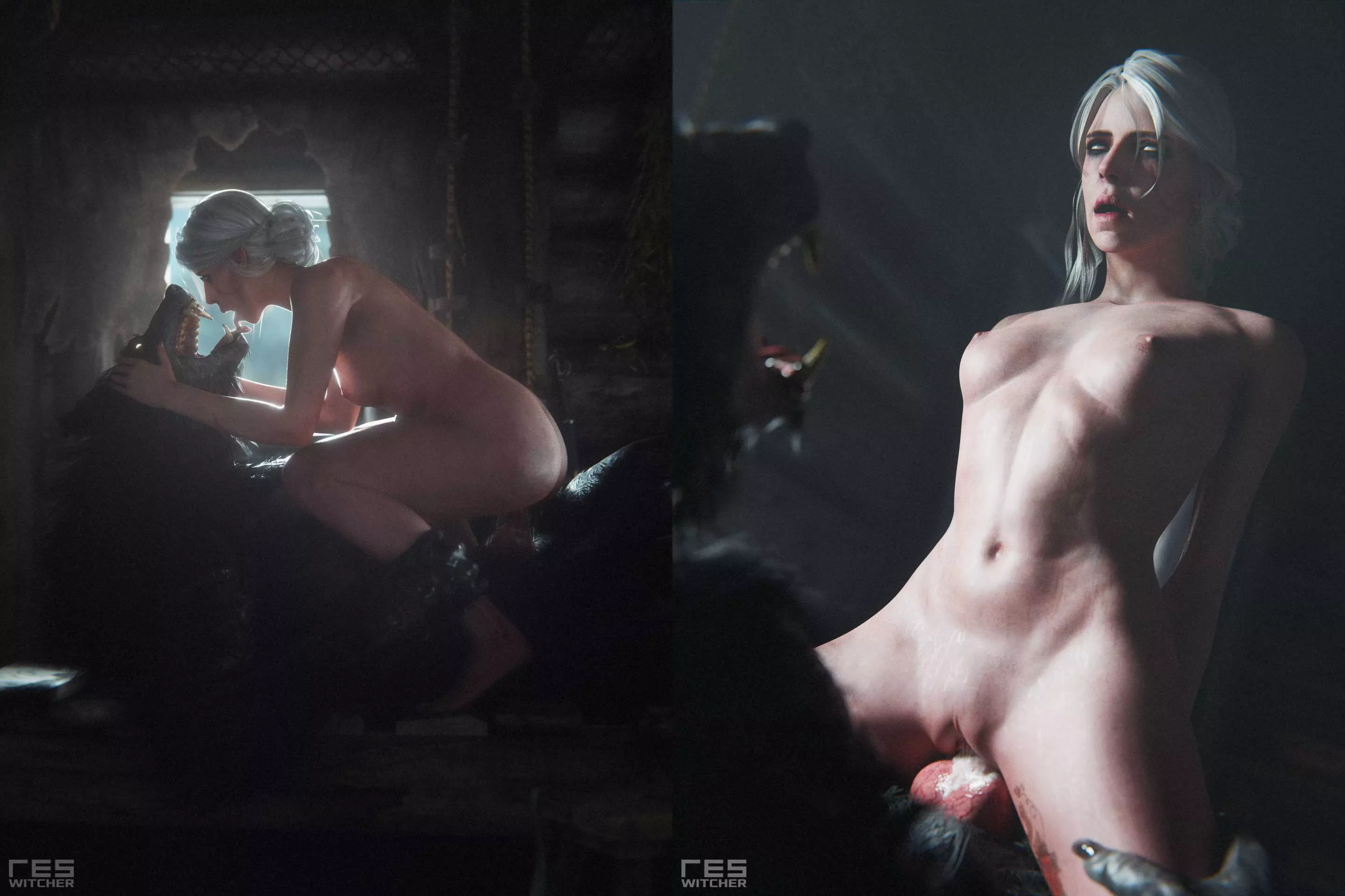 Ciri - The Encounter (WitcherRes)