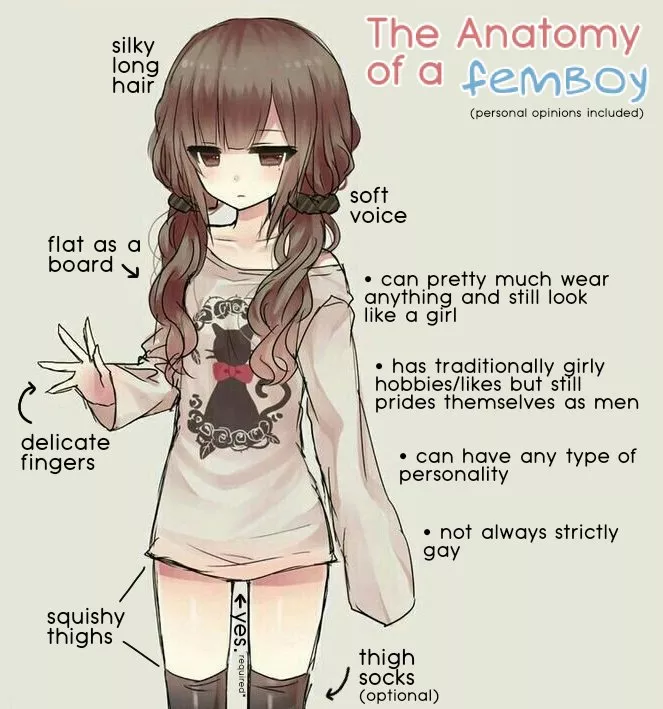 The Anatomy Of A Femboy (meme)