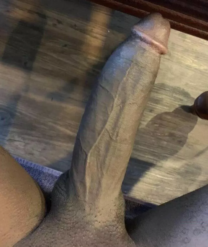 41 years old! dms open.