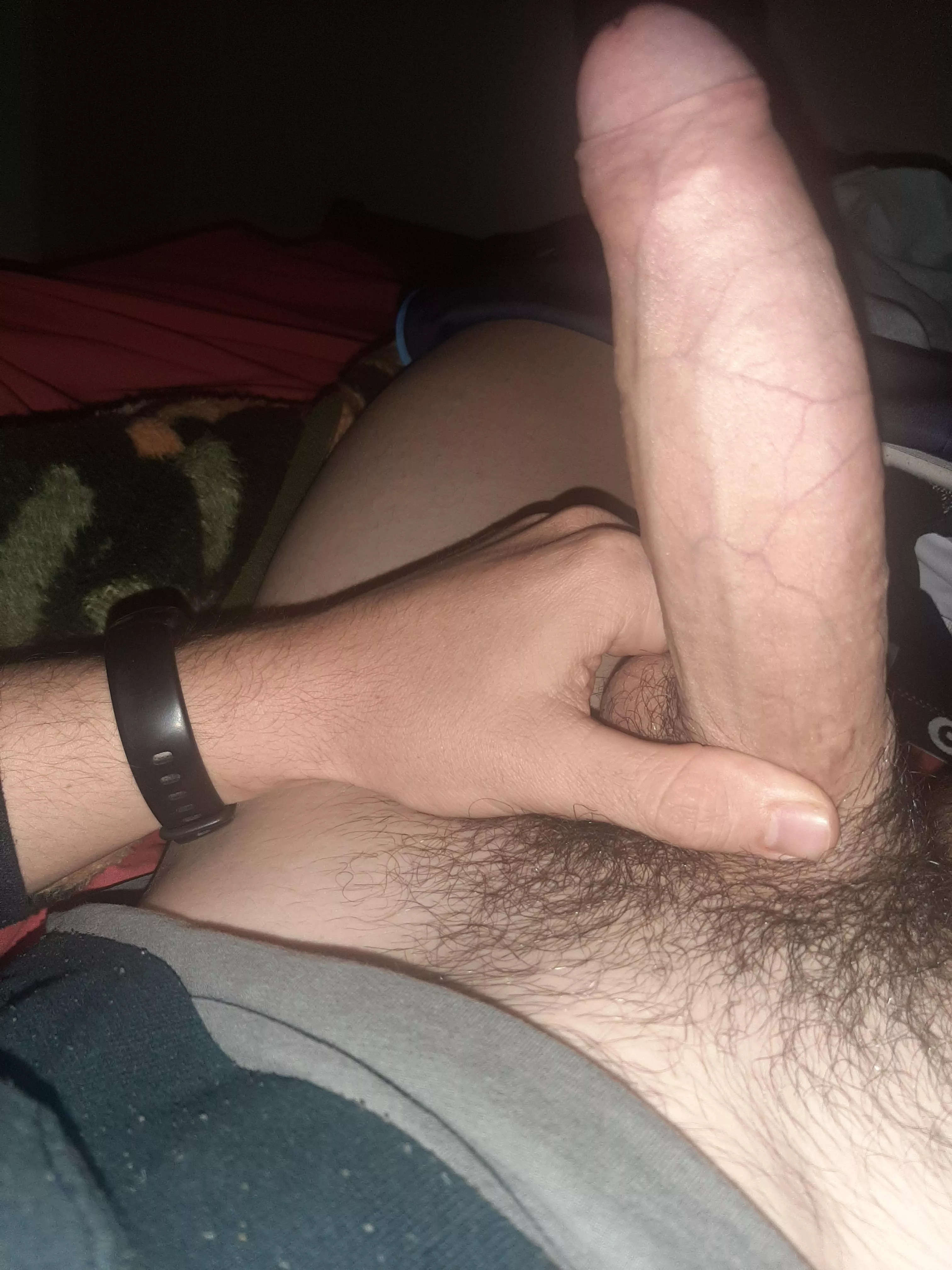 any cock lovers around?