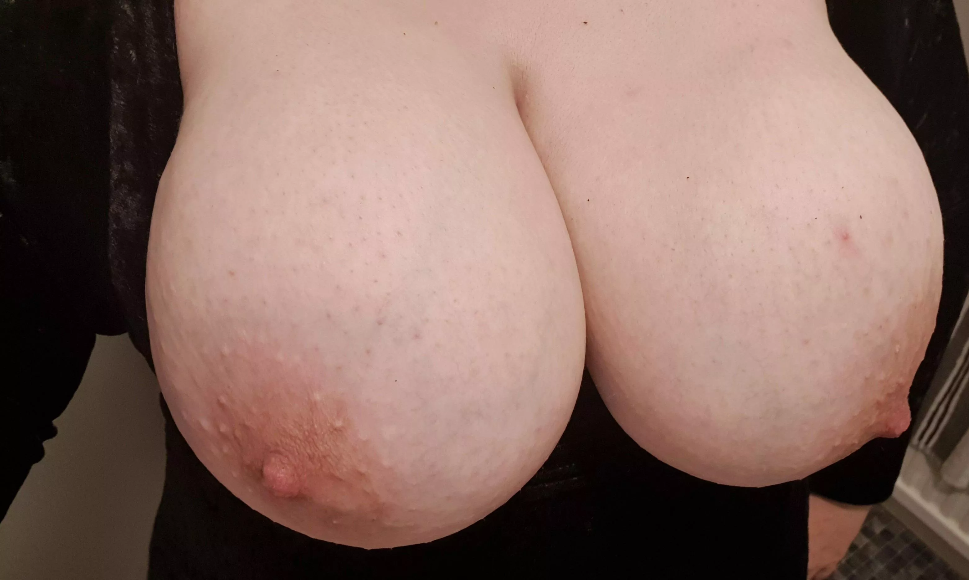 come and suckle my engorged big titties...