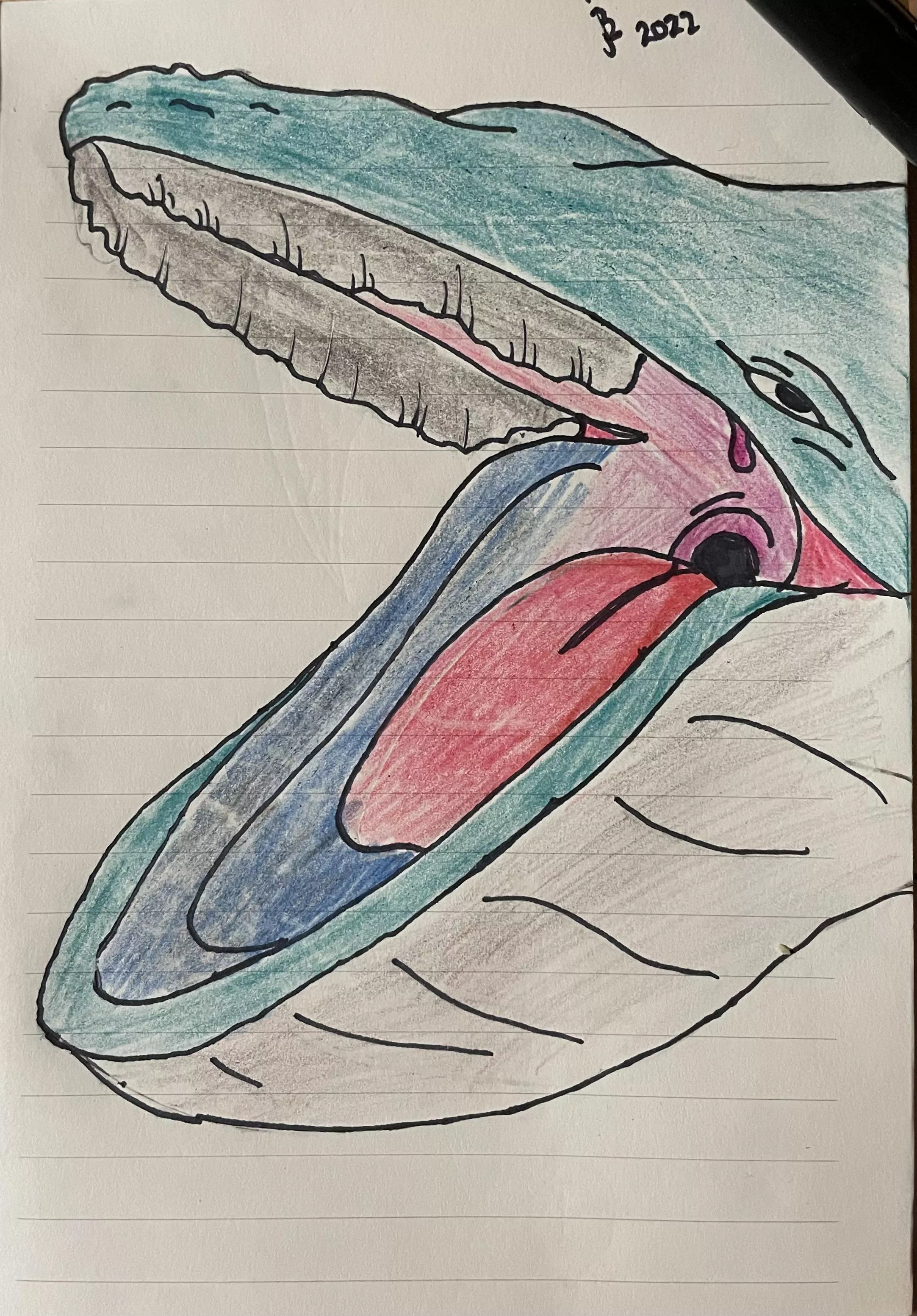 {image} got bored so I drew a maw.