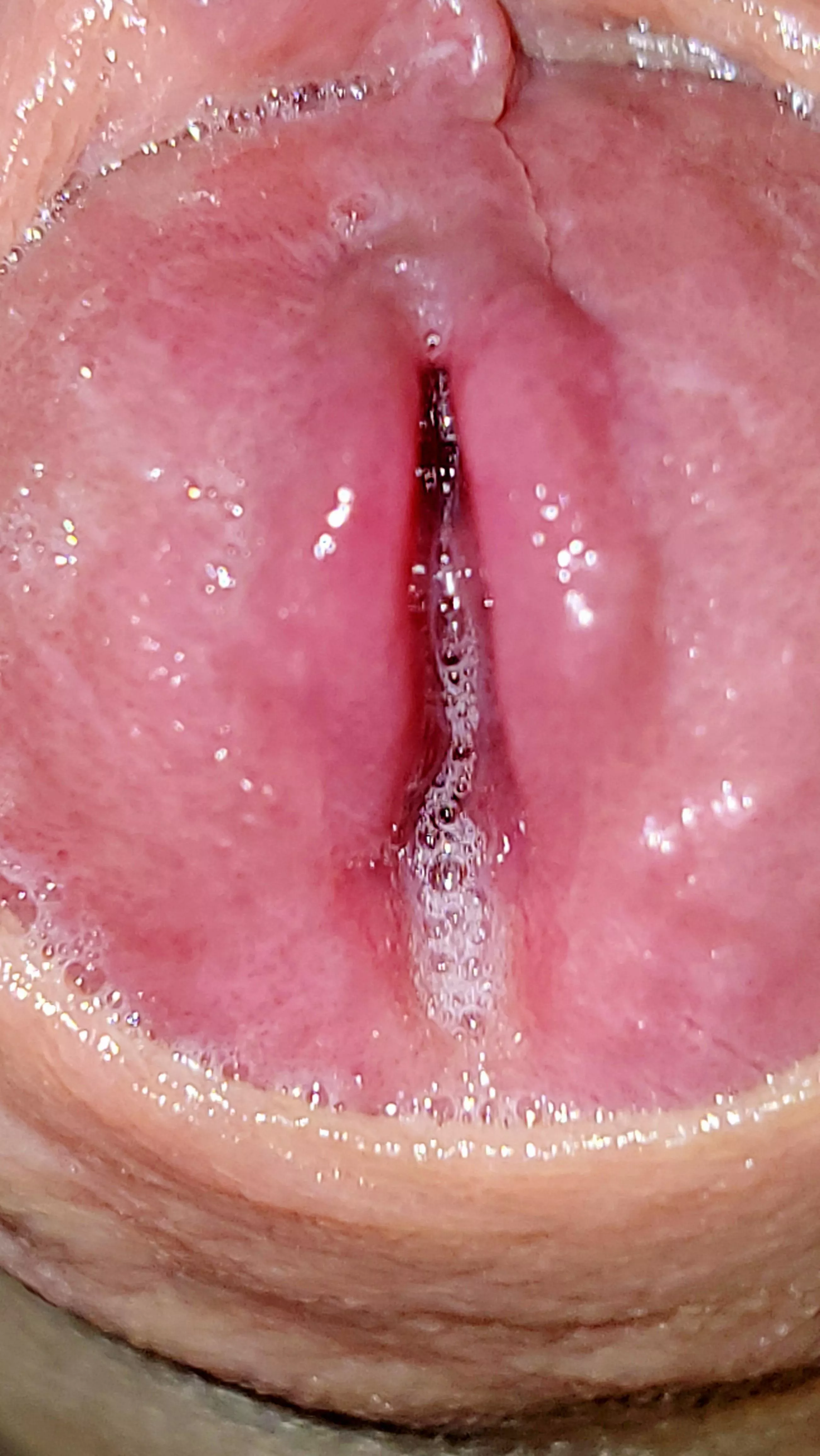 My cock so wet when precum come out.