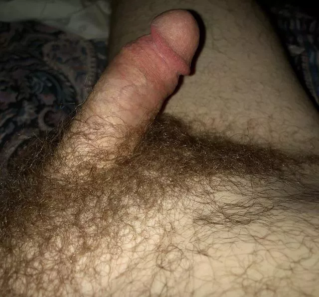 My thick hairy pubes are so bushy