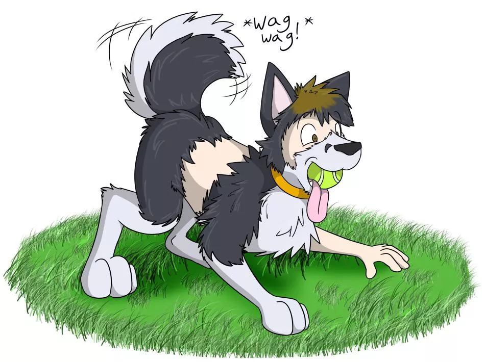 Tennis Ball TF by fox0808 (M Human -> M Dog)