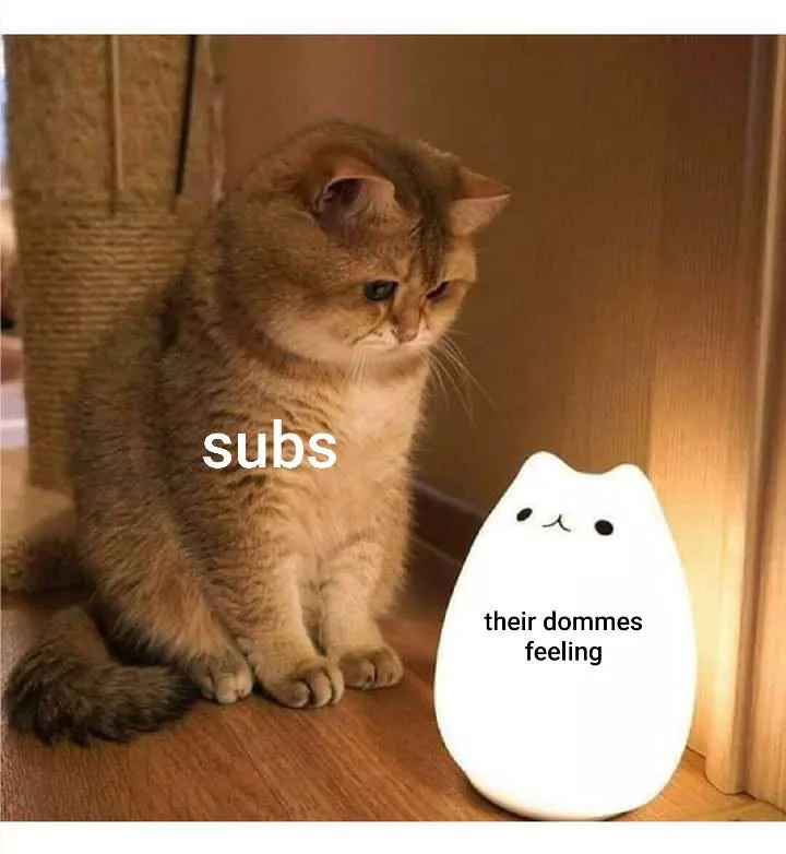 Those subs are 10/10 who take care of their dommes feelings