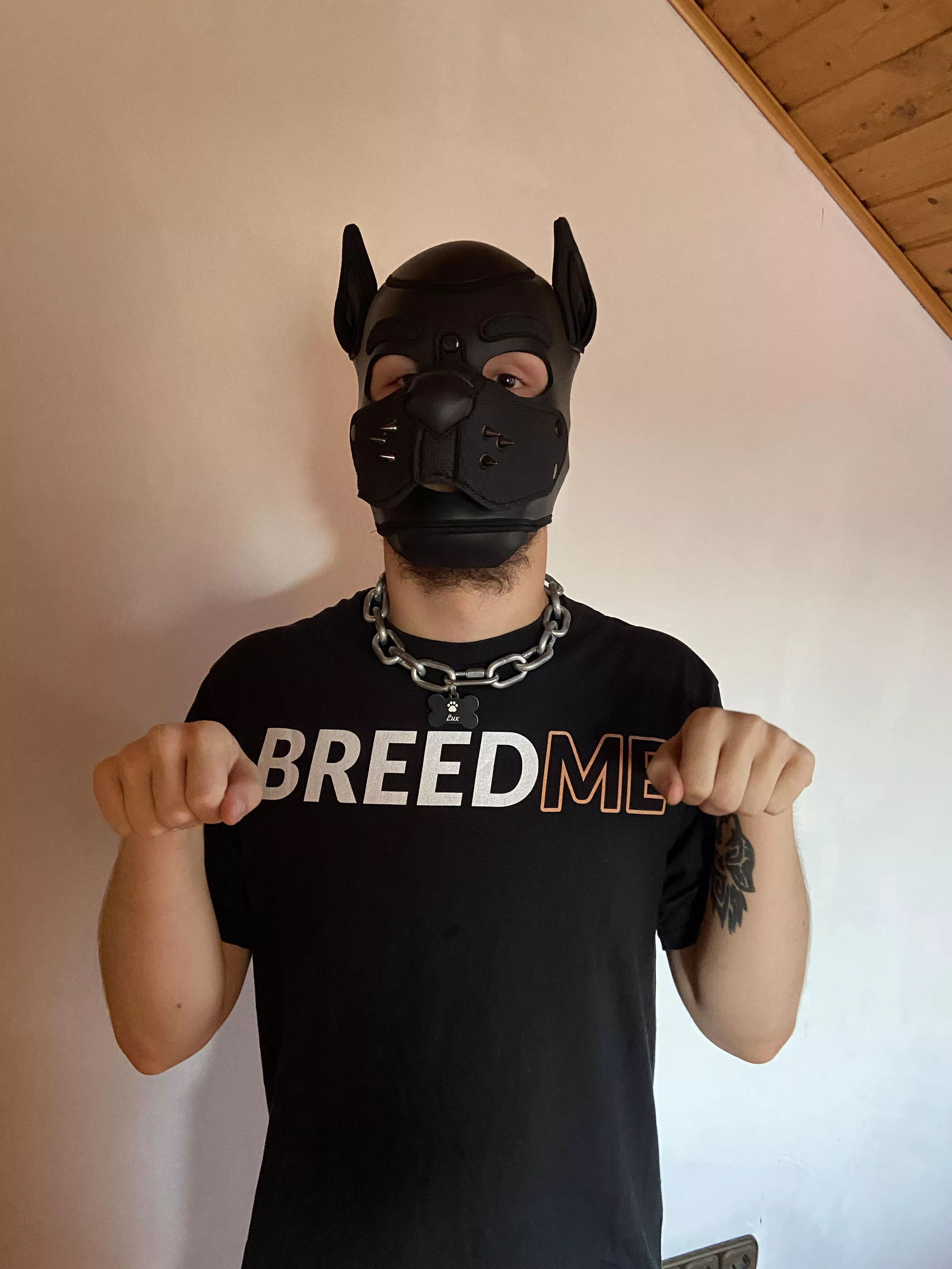 Would you fulfill this puppys desire?