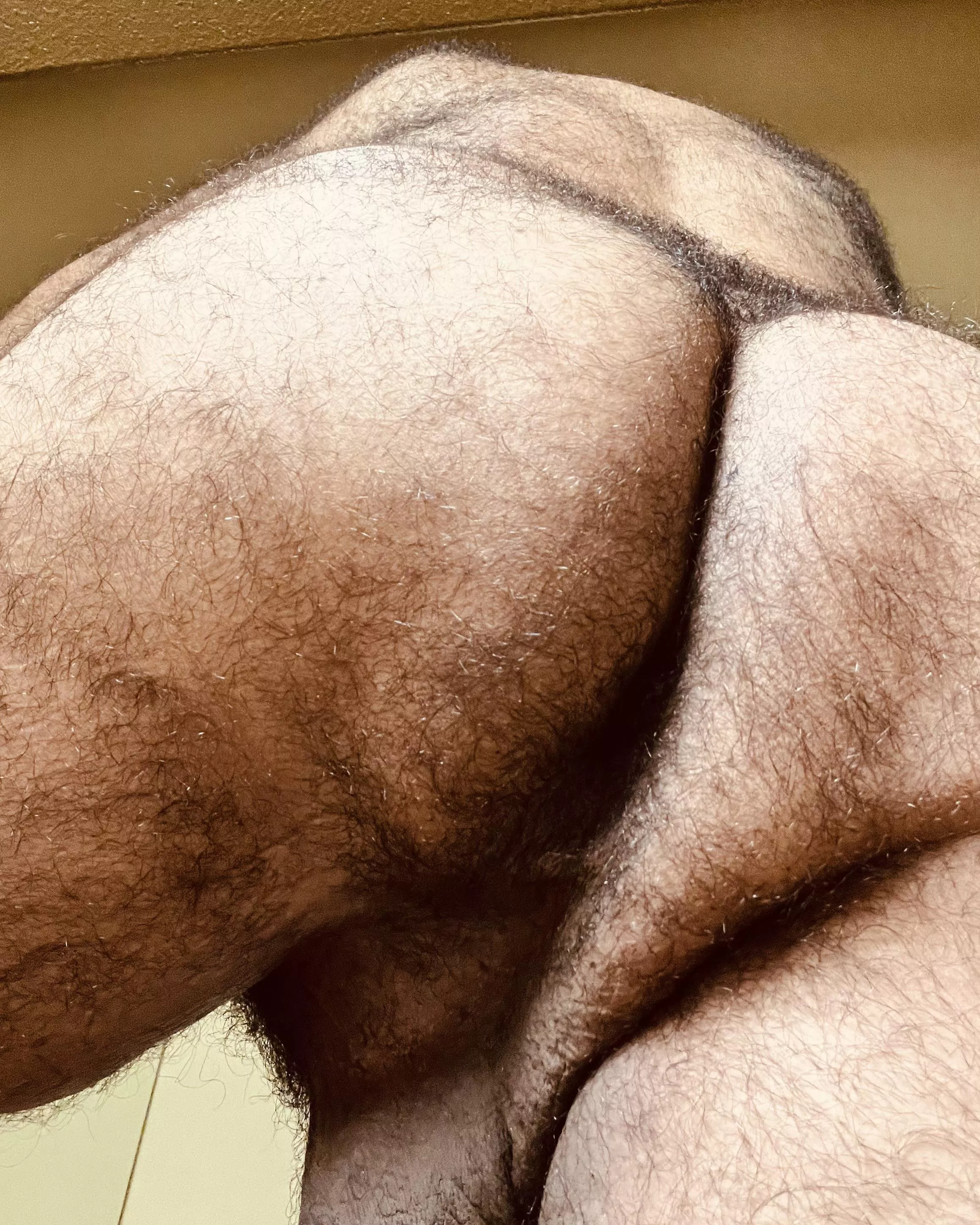 (42) A little fur never hurt anyone… right?