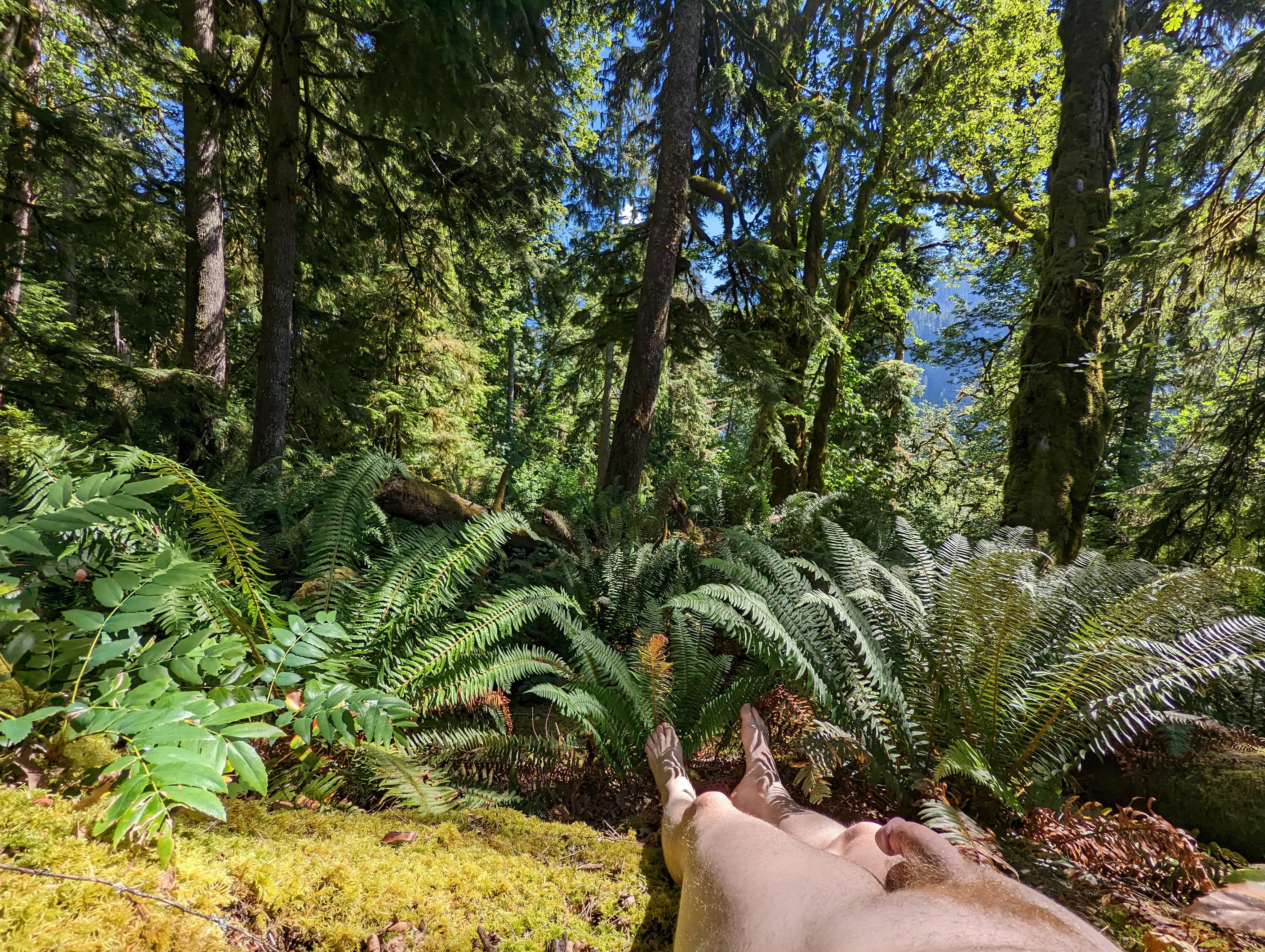 Are mushrooms growing on the mossy forest floor edible?