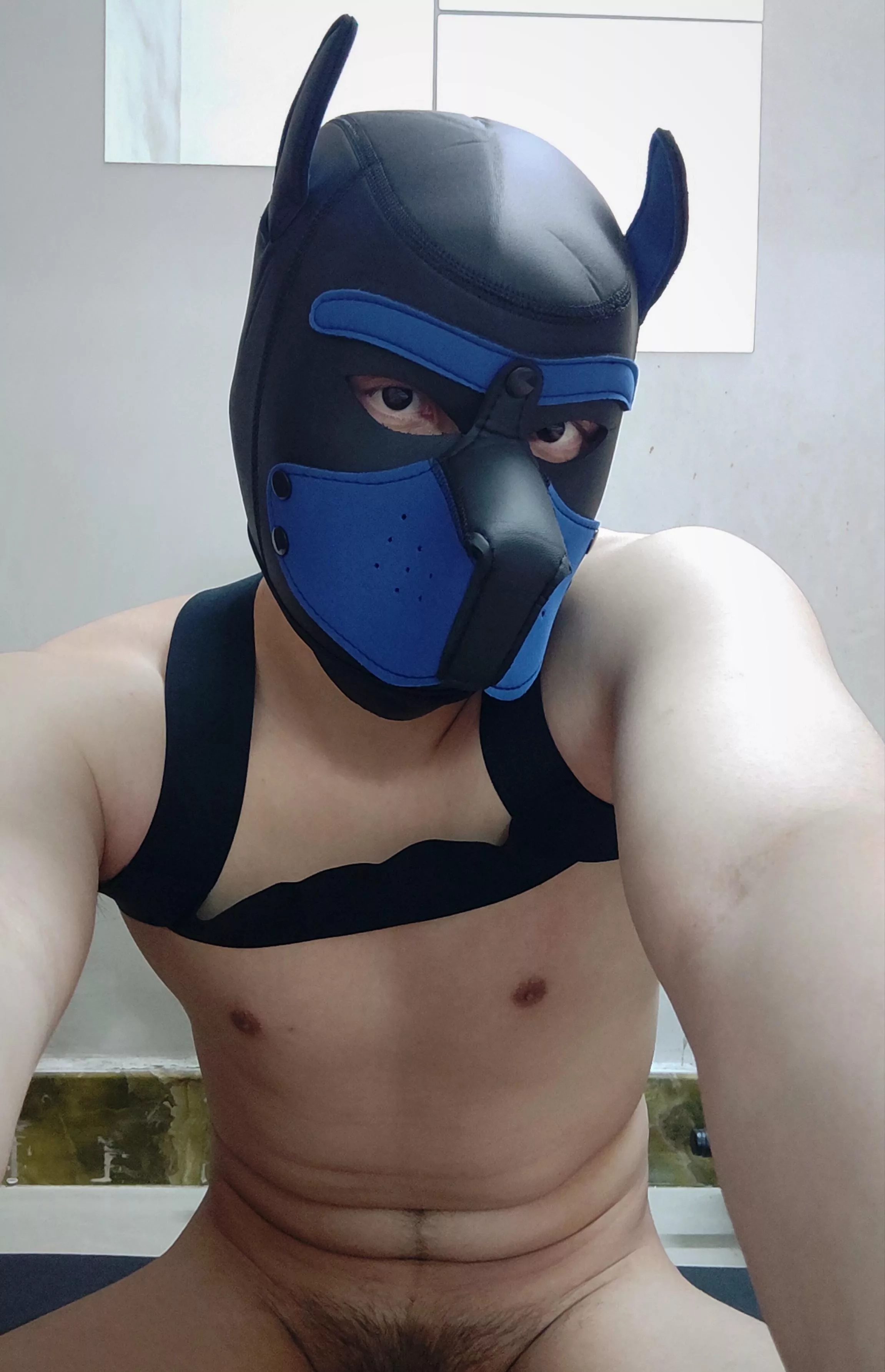 Give this puppy some love? ðŸ˜˜