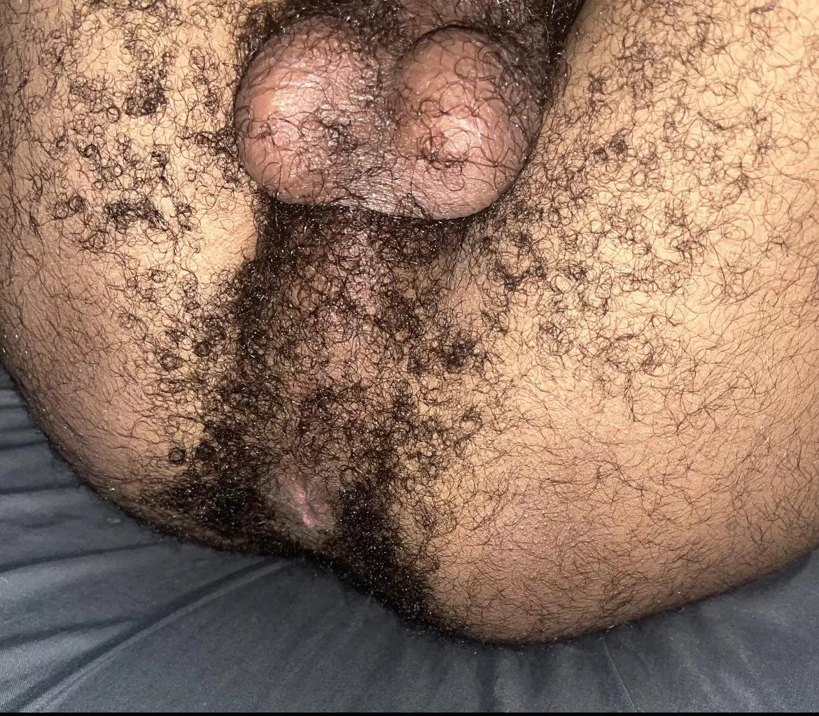 Hairy ass and balls