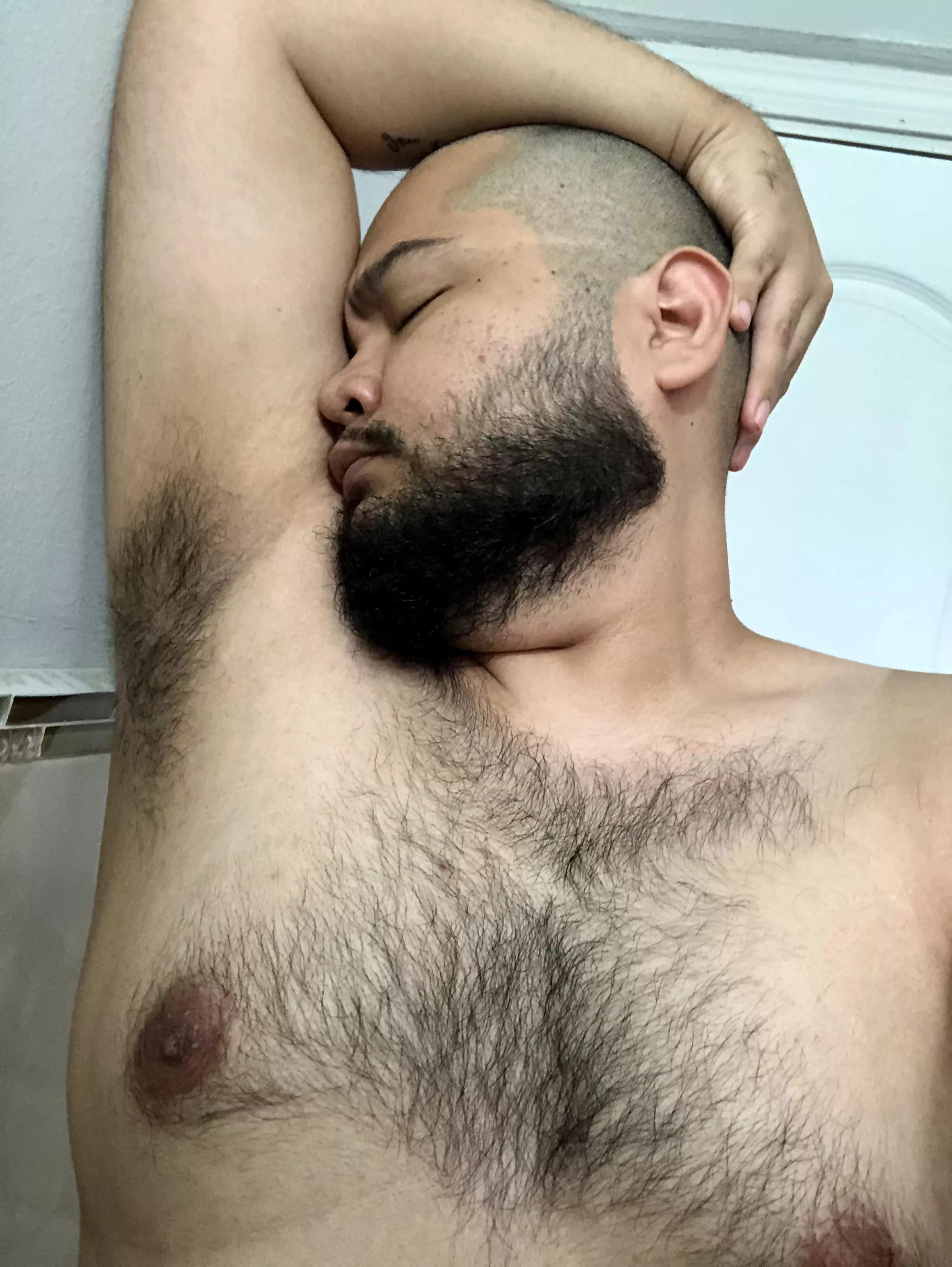 Hairy gamer pits