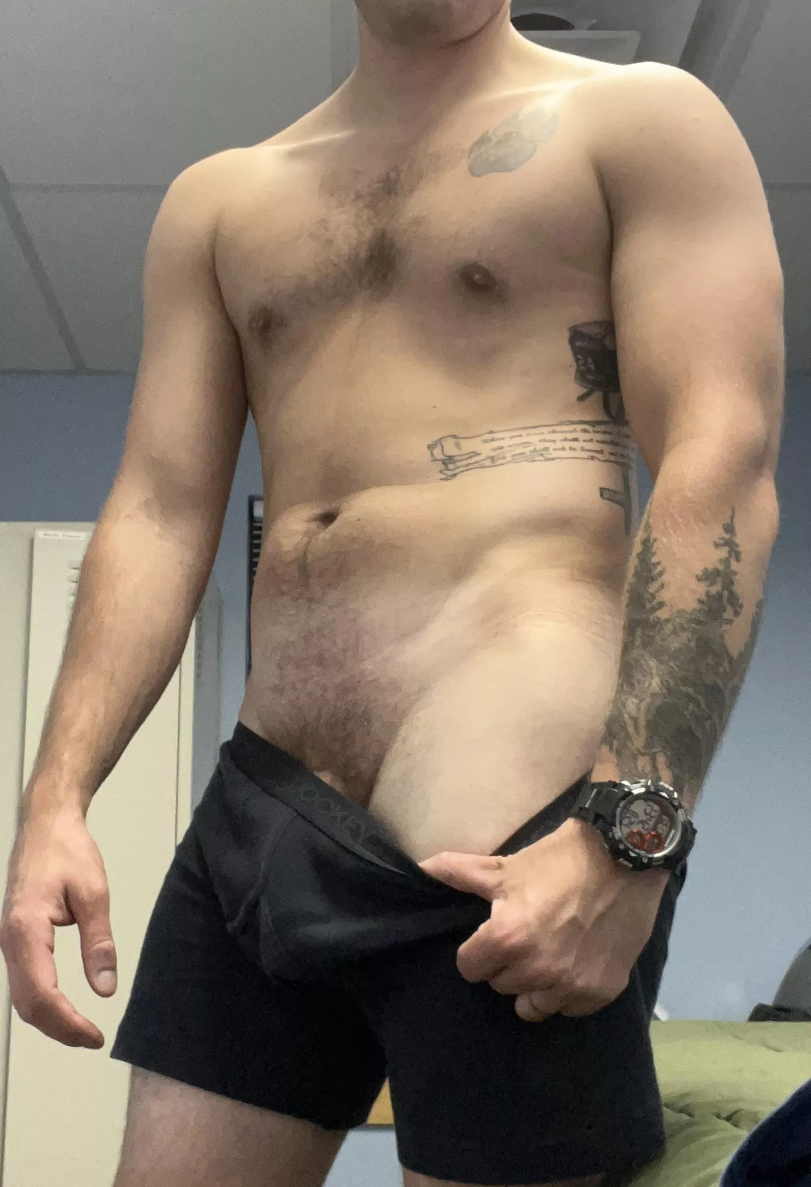 (M) Fit and Frisky