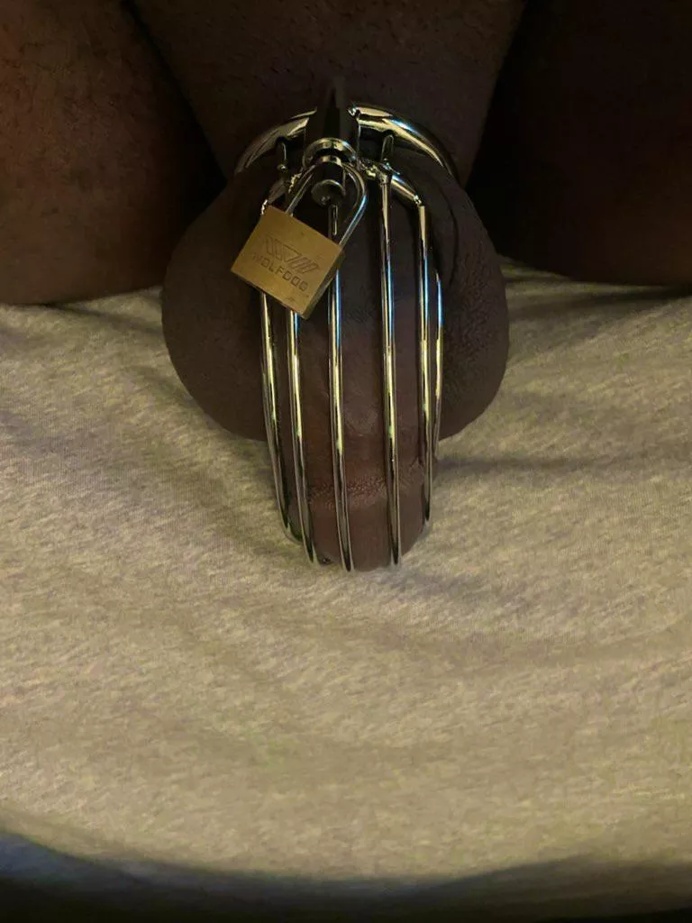 Today marks 6 months in chastity and I moved down a size today.